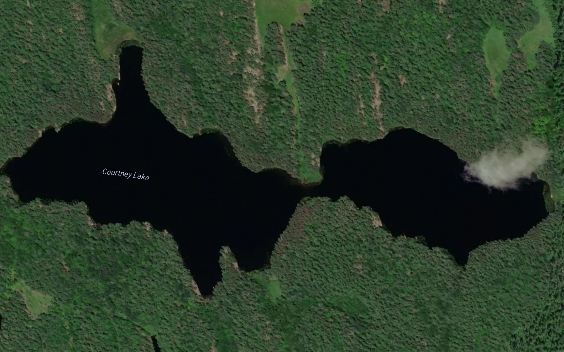 Satellite map of the Courtney Lake