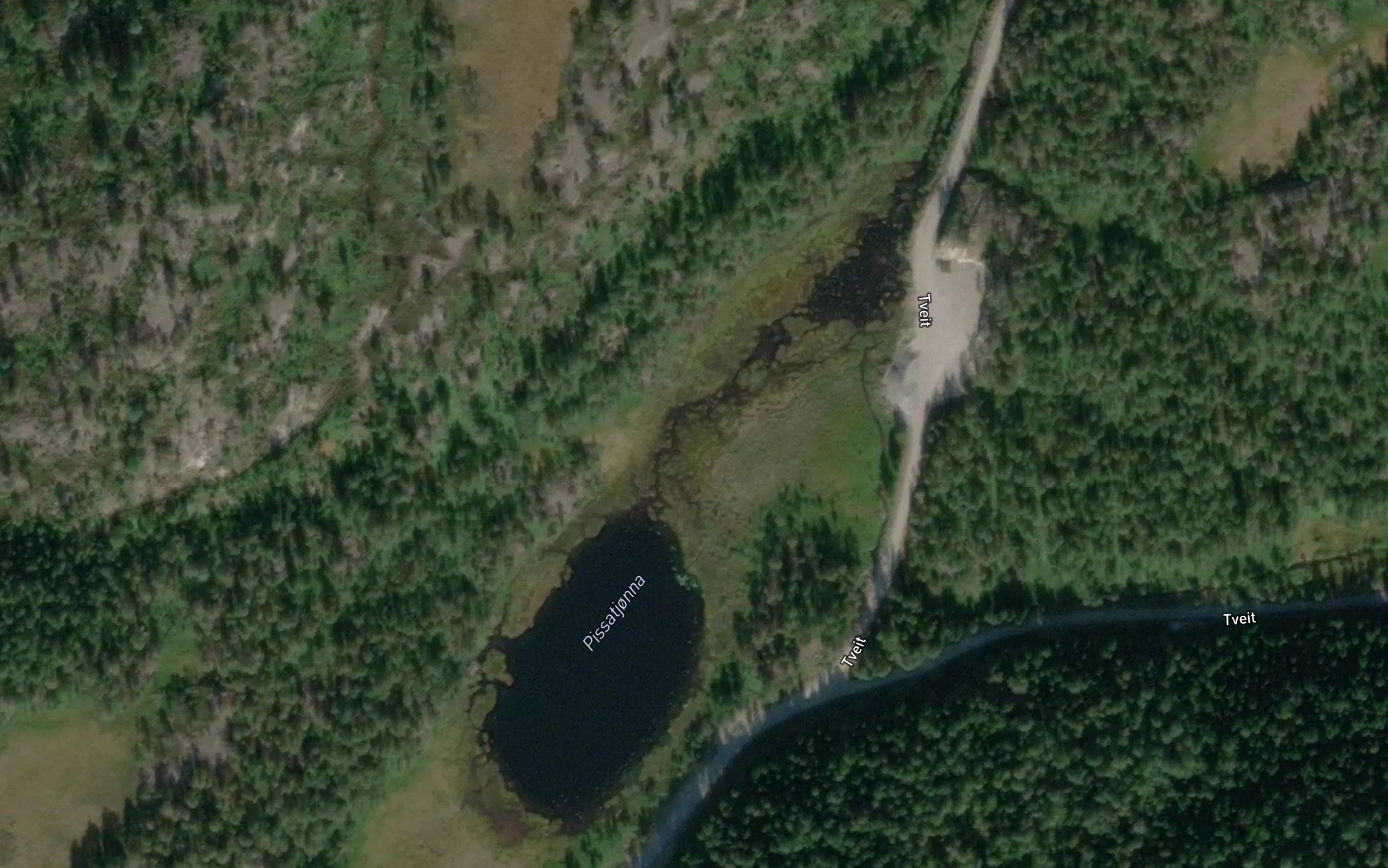 Pissatjorna