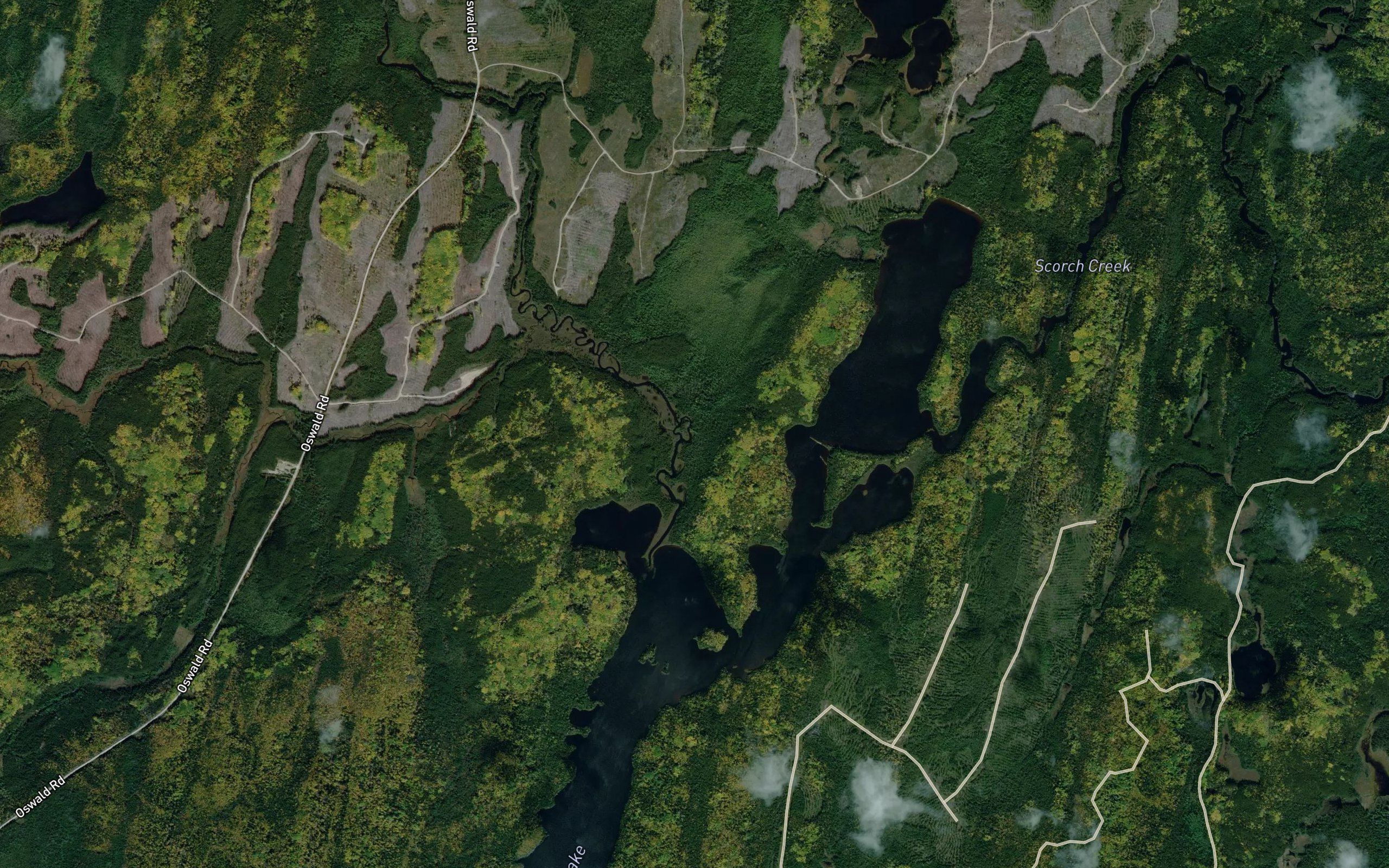 Oswald Creek