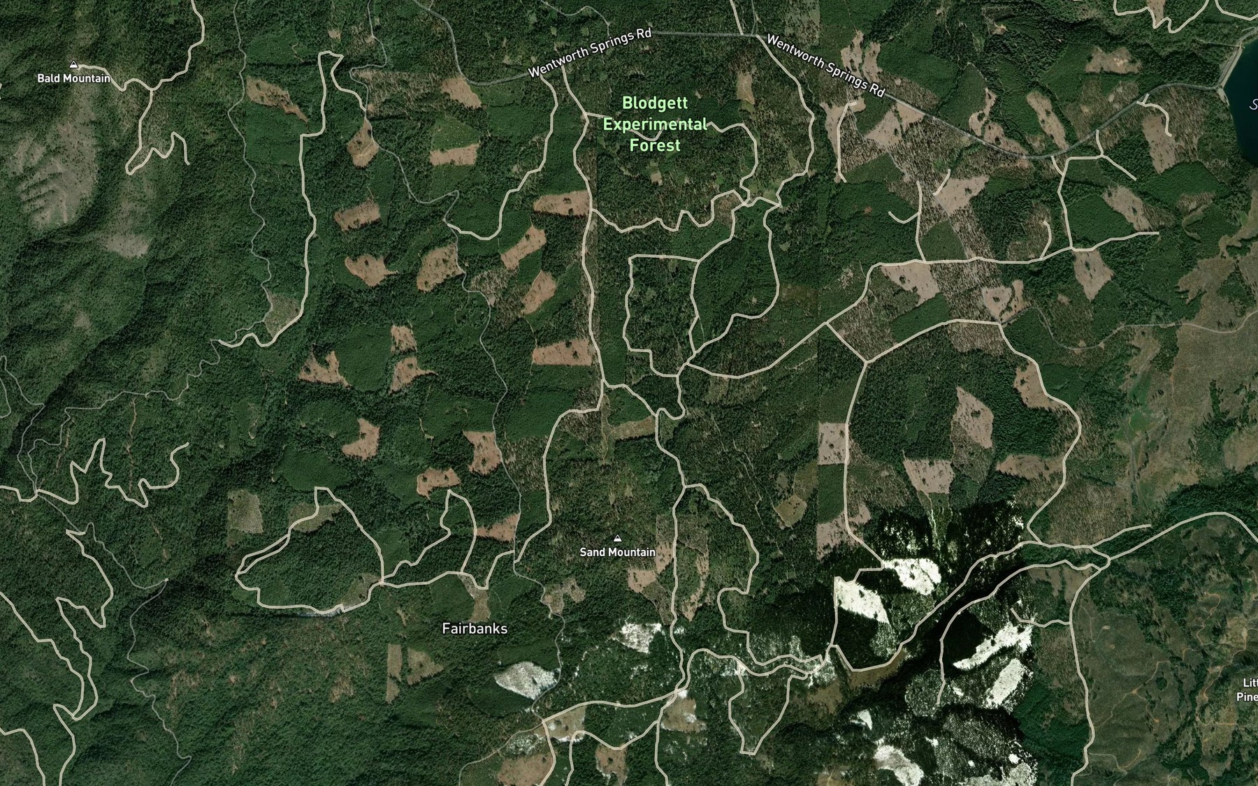 Satellite map of the Gaddis Spring