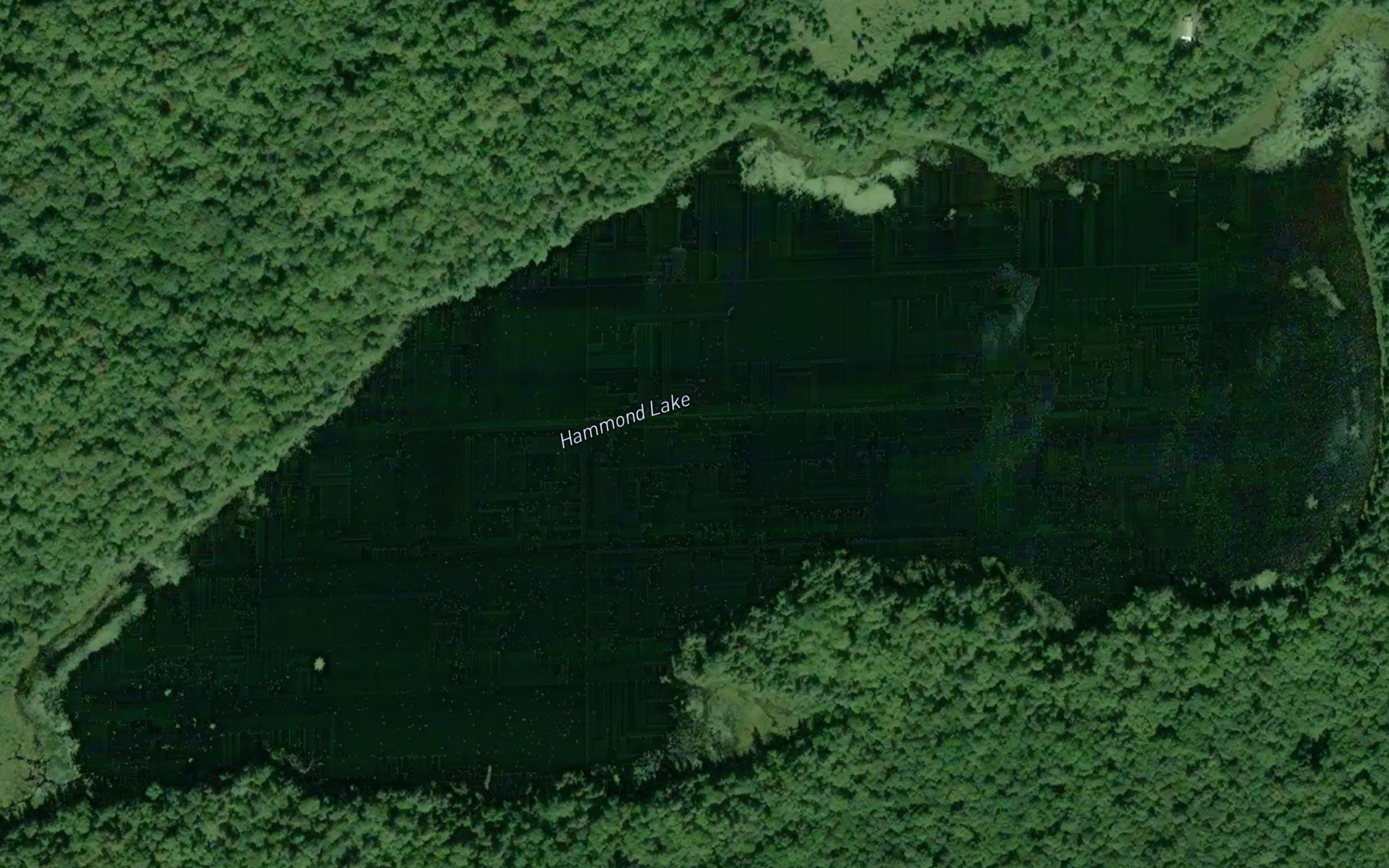 Hammond Lake