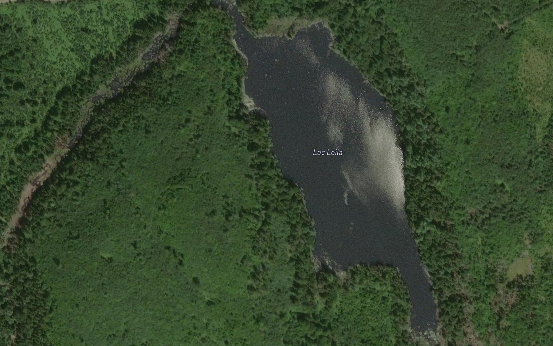Satellite map of the Lac Leila
