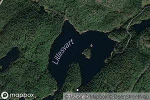 Lillesvart