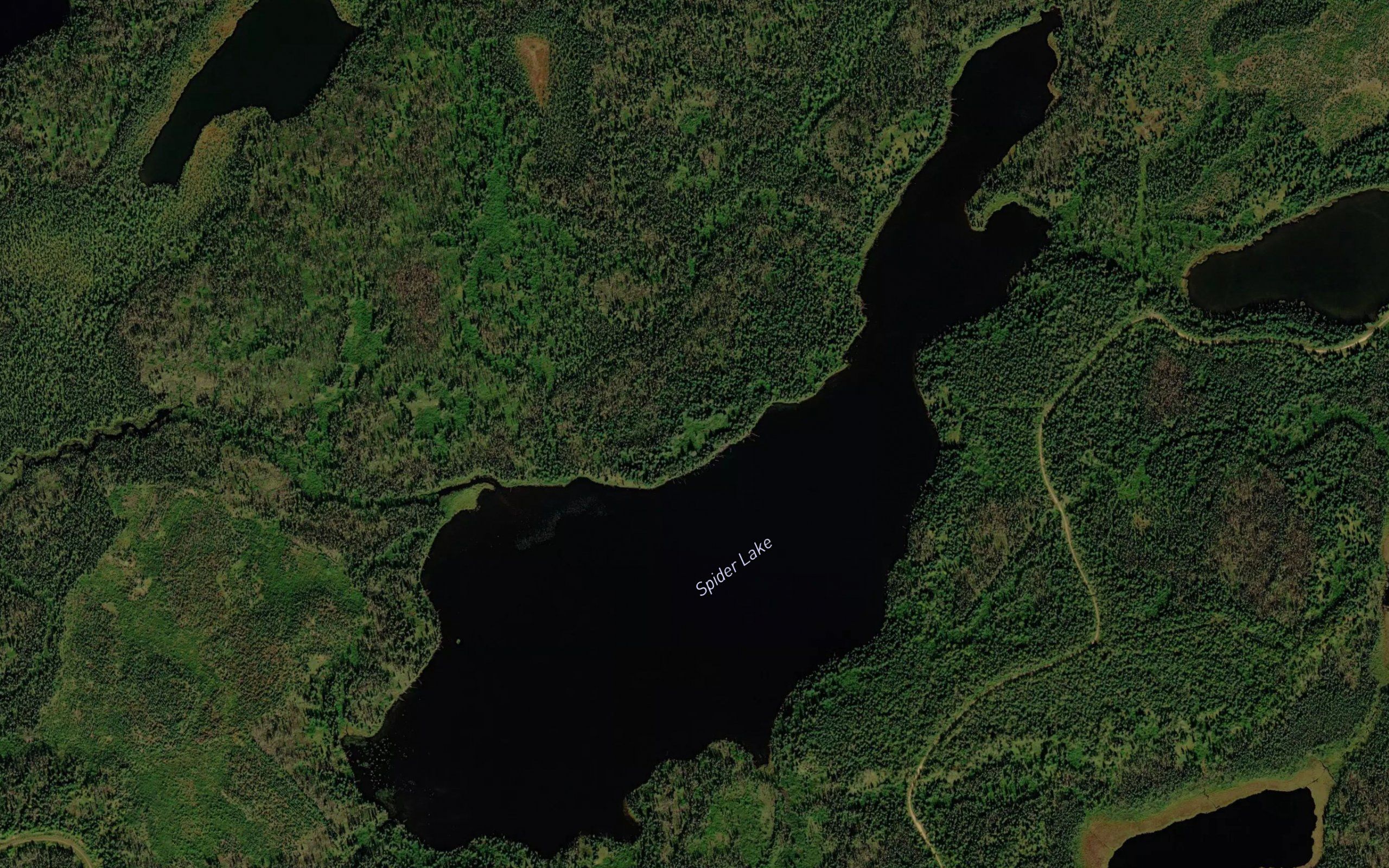 Spider Lake