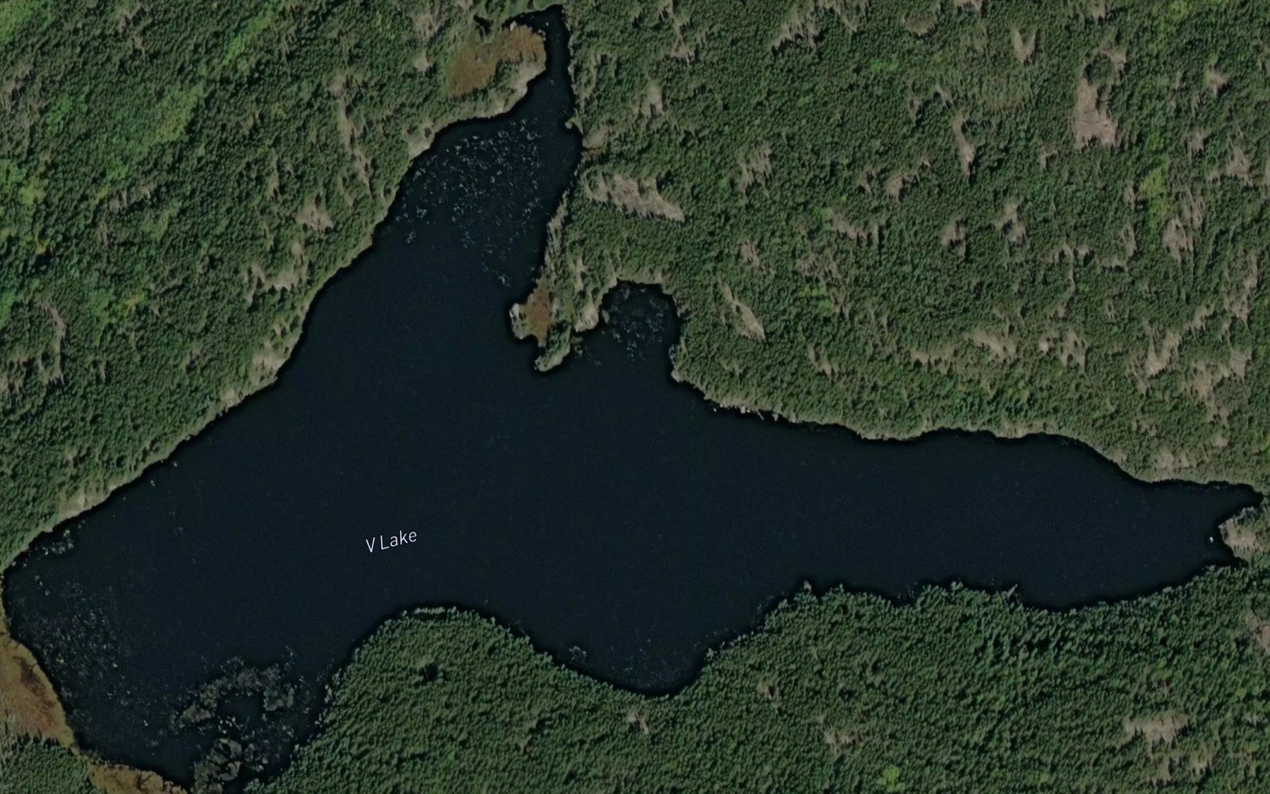 Satellite map of the V Lake
