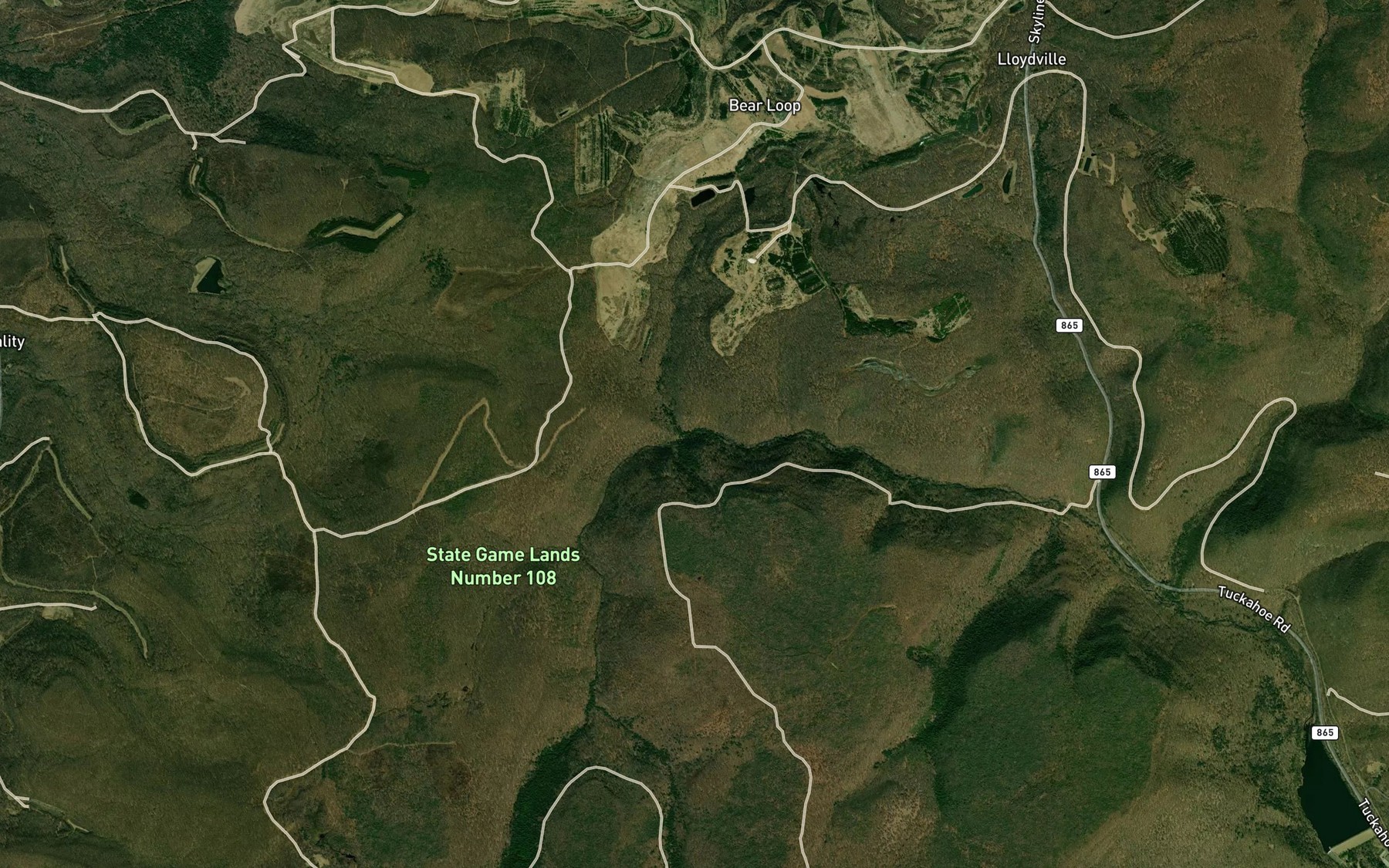 Satellite map of the Bear Loop Run