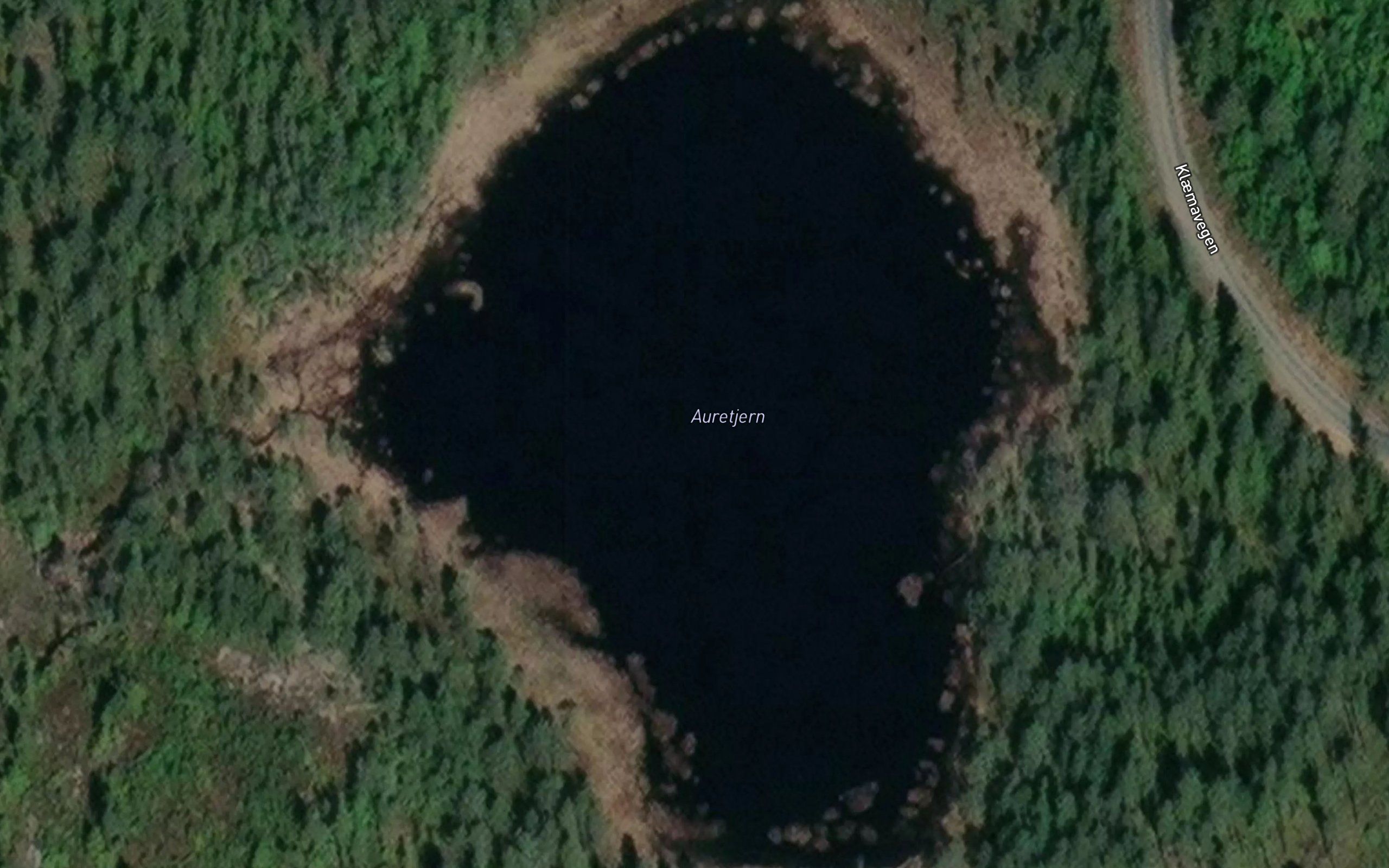 Auretjern