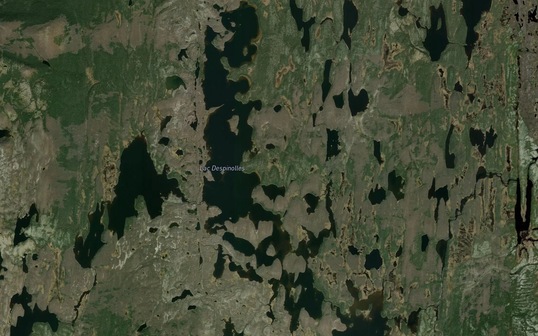 Satellite map of the Lac Despinolles