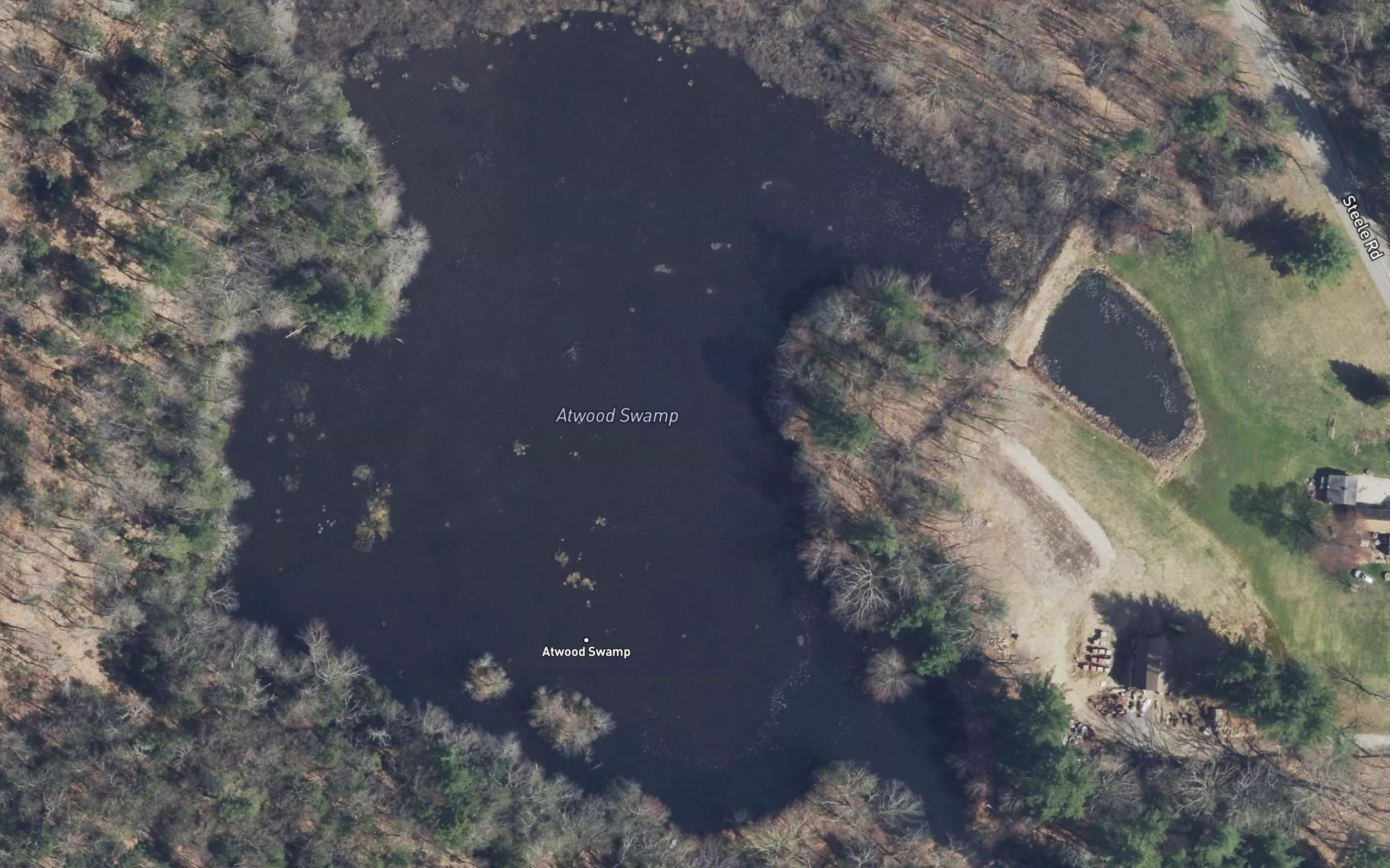 Atwood Swamp