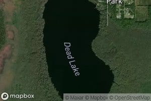Dead Lake