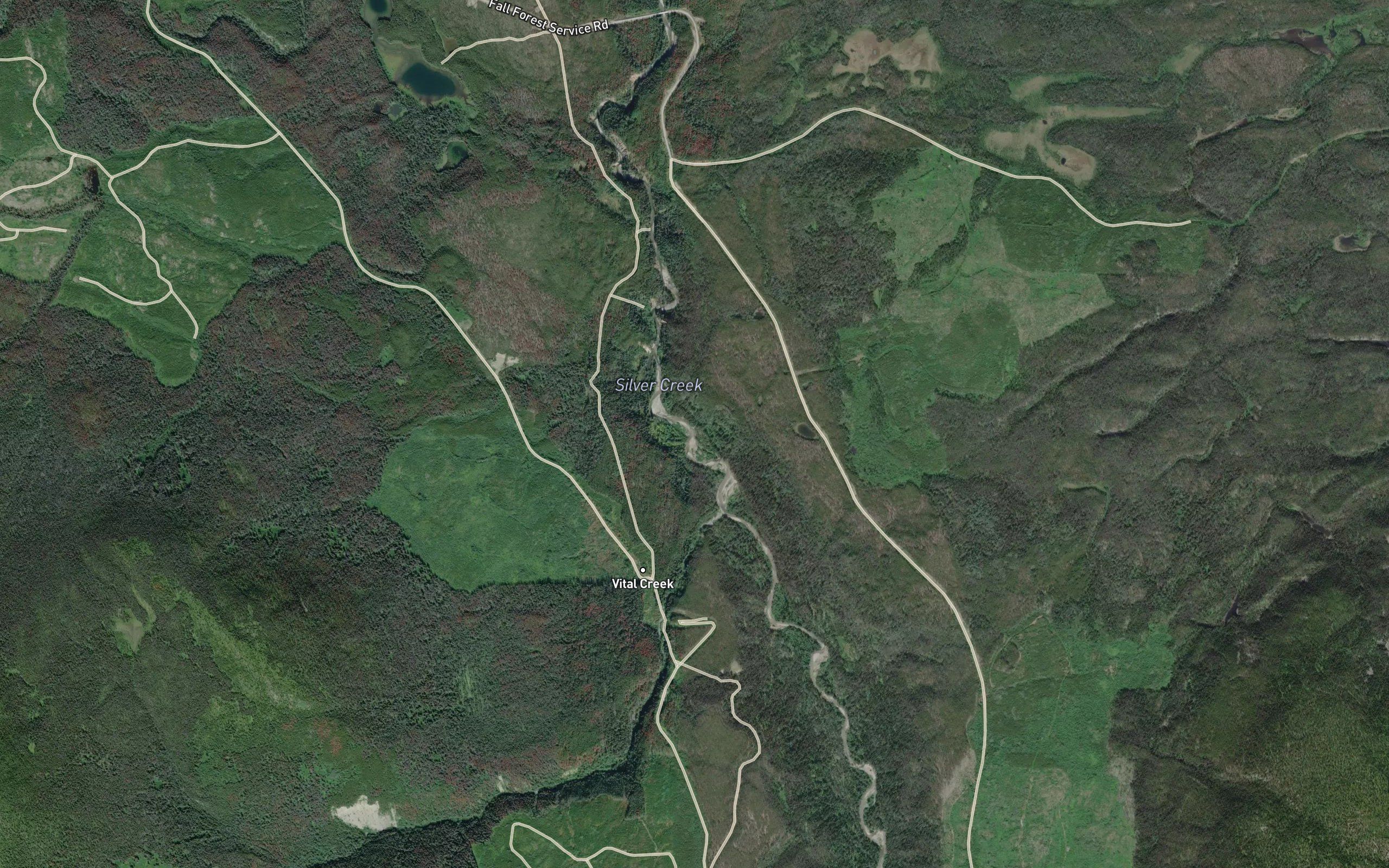 Vital Creek