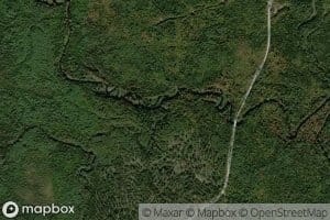 Bear Brook