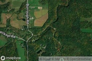 Right Branch Cayuga Creek