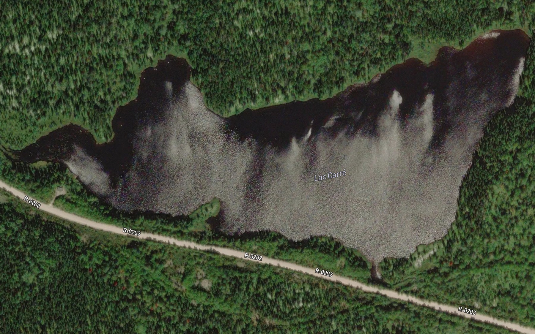 Satellite map of the Lac Carre