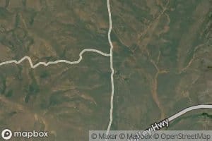 Timmons Field Spring