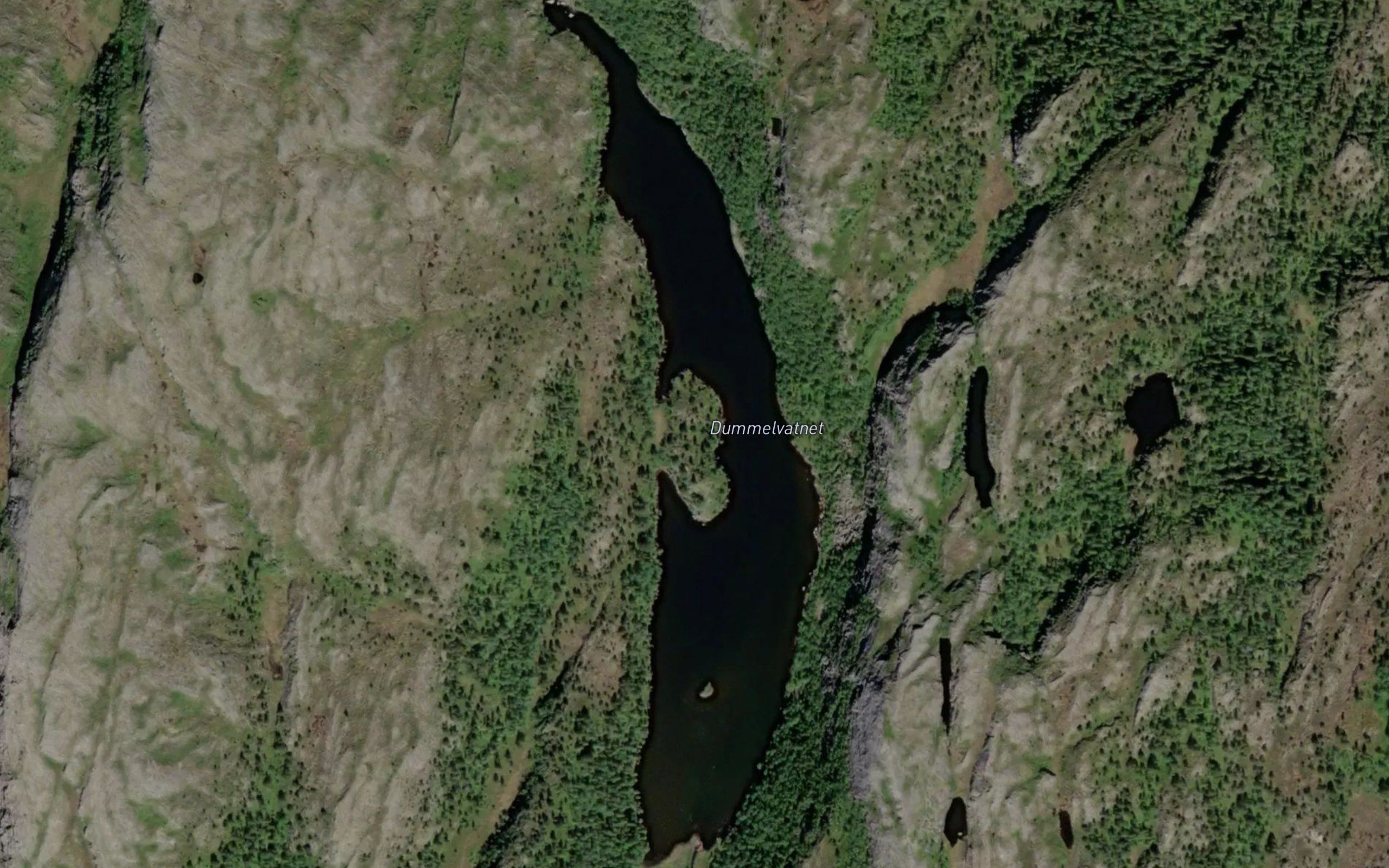 Dummelvatnet
