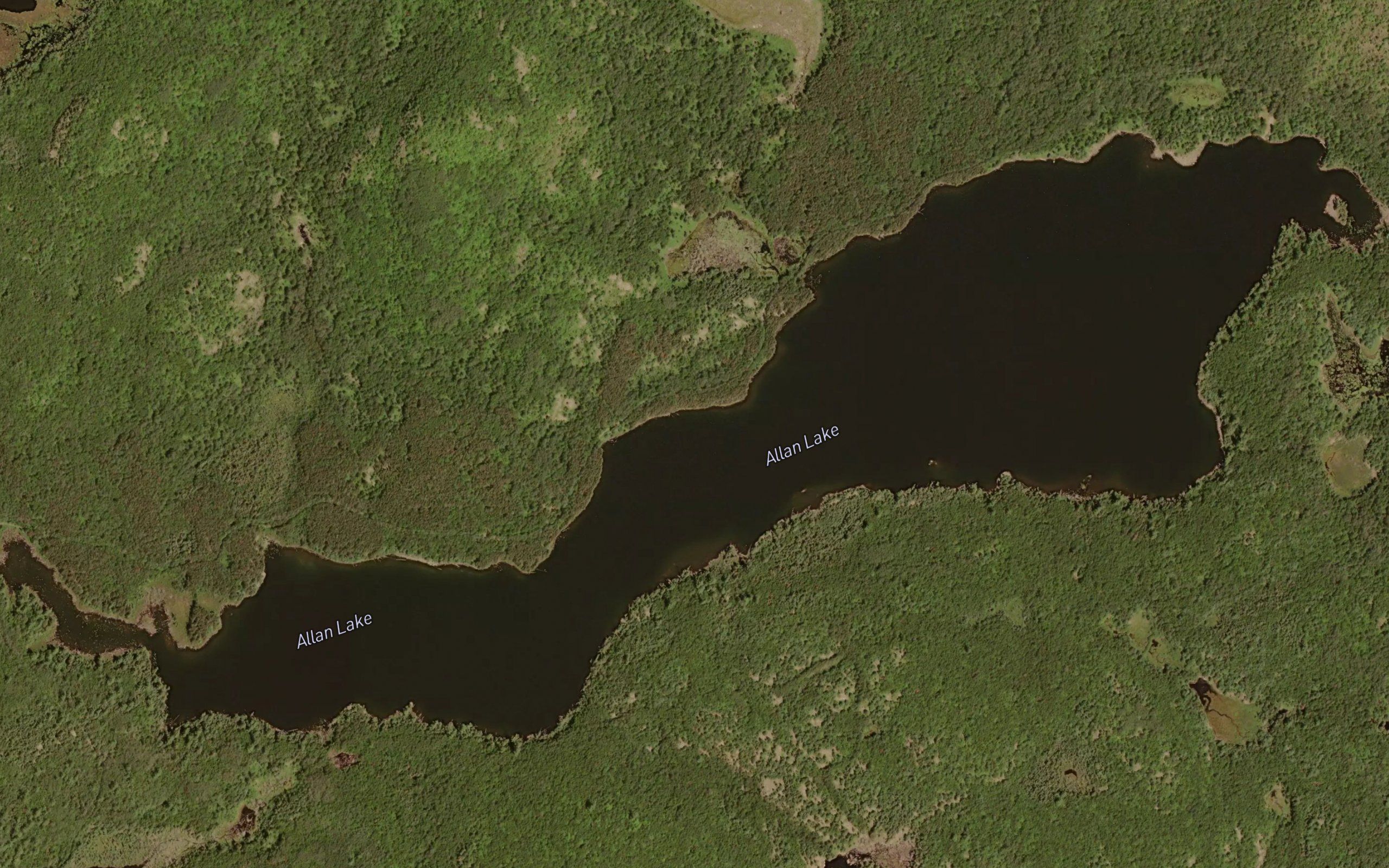 Allan Lake