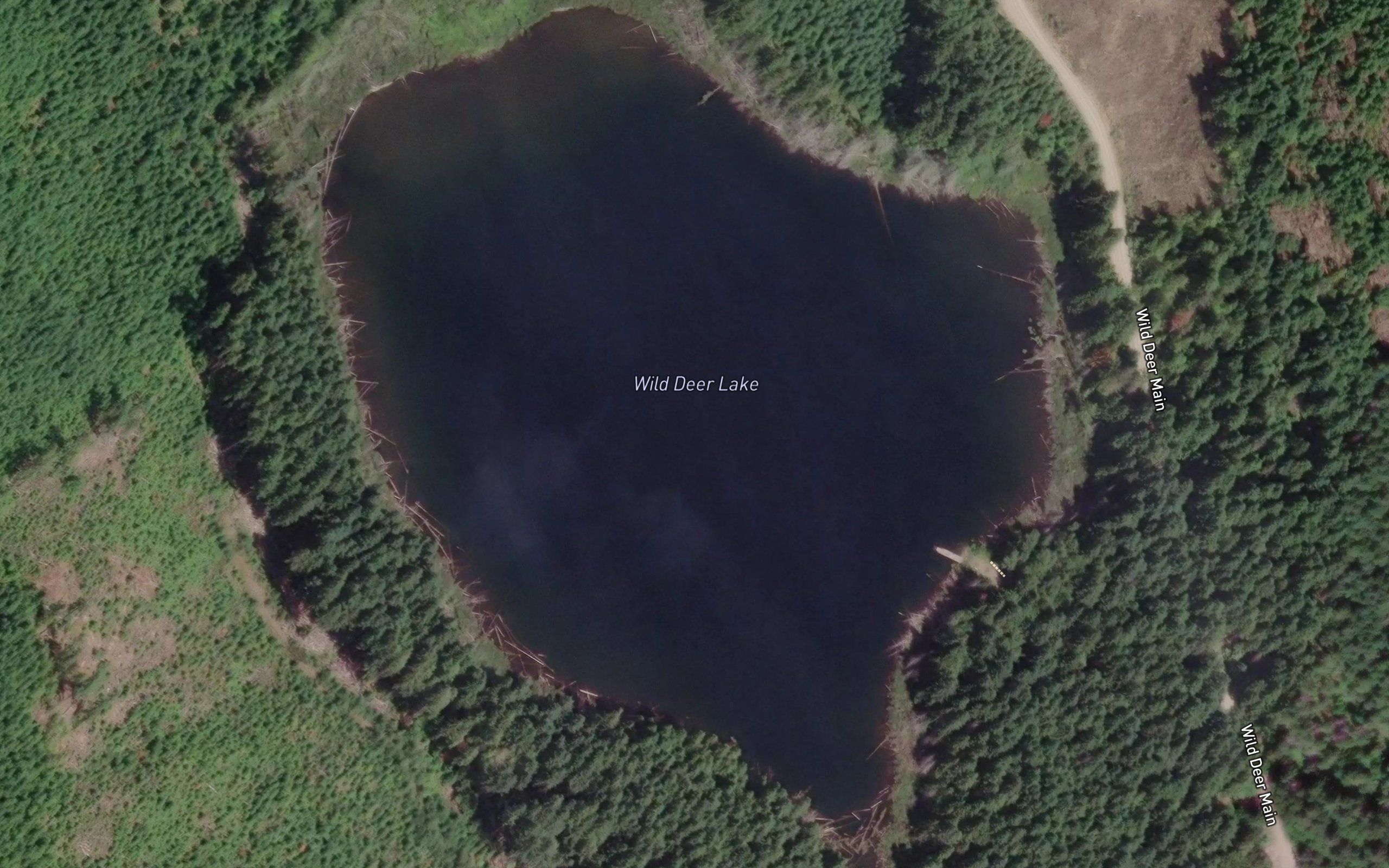 Wild Deer Lake