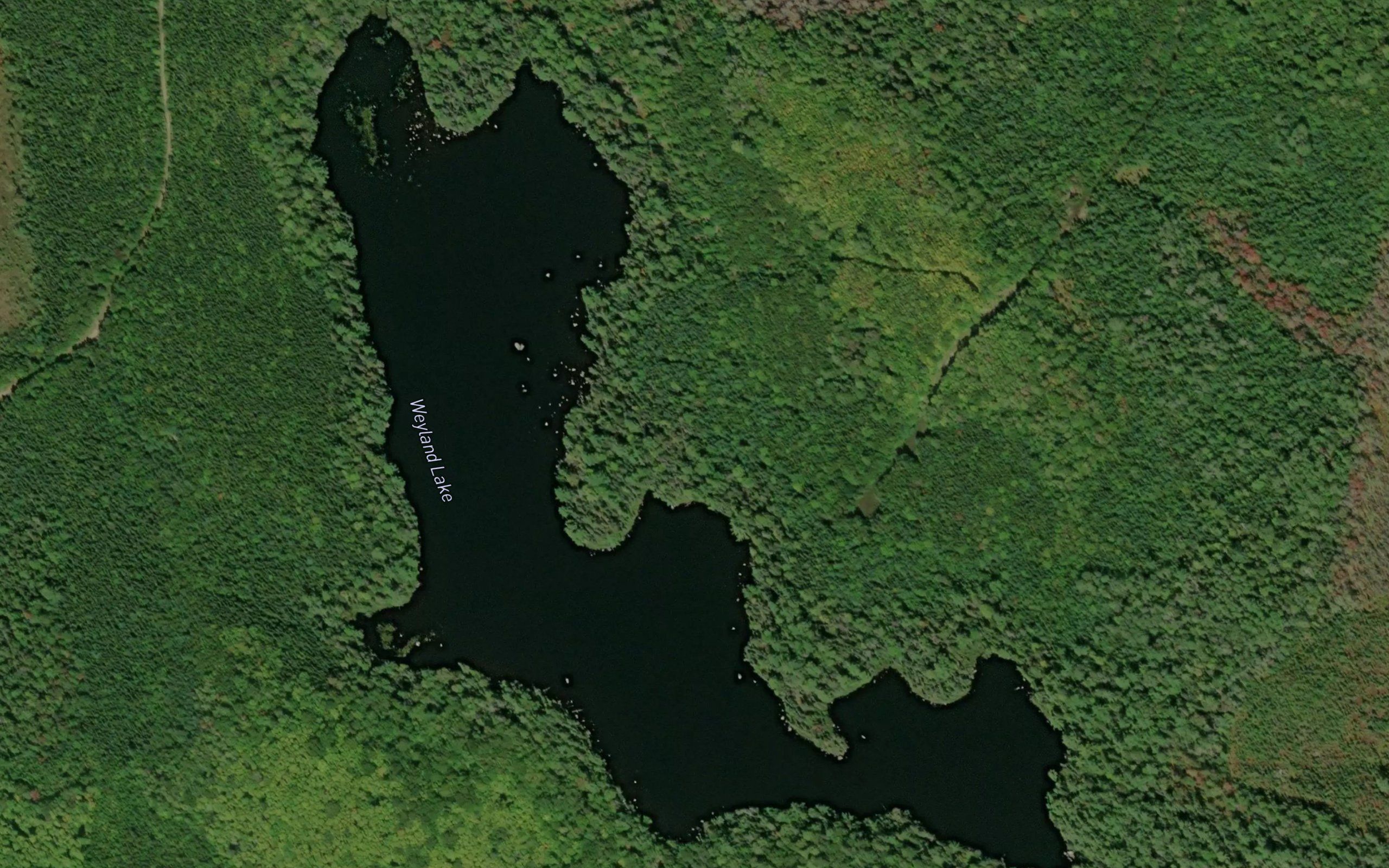 Weyland Lake
