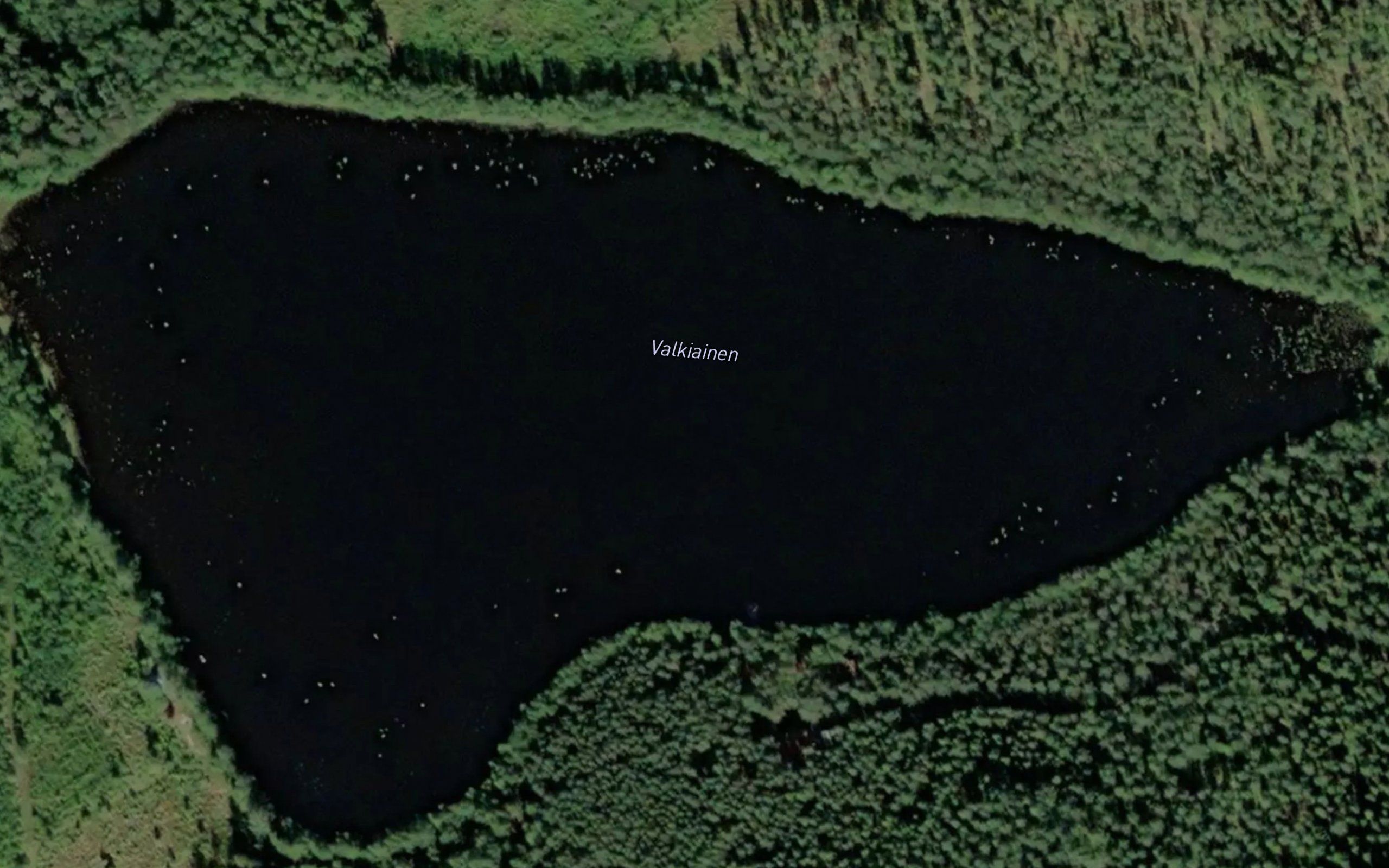 Valkiainen