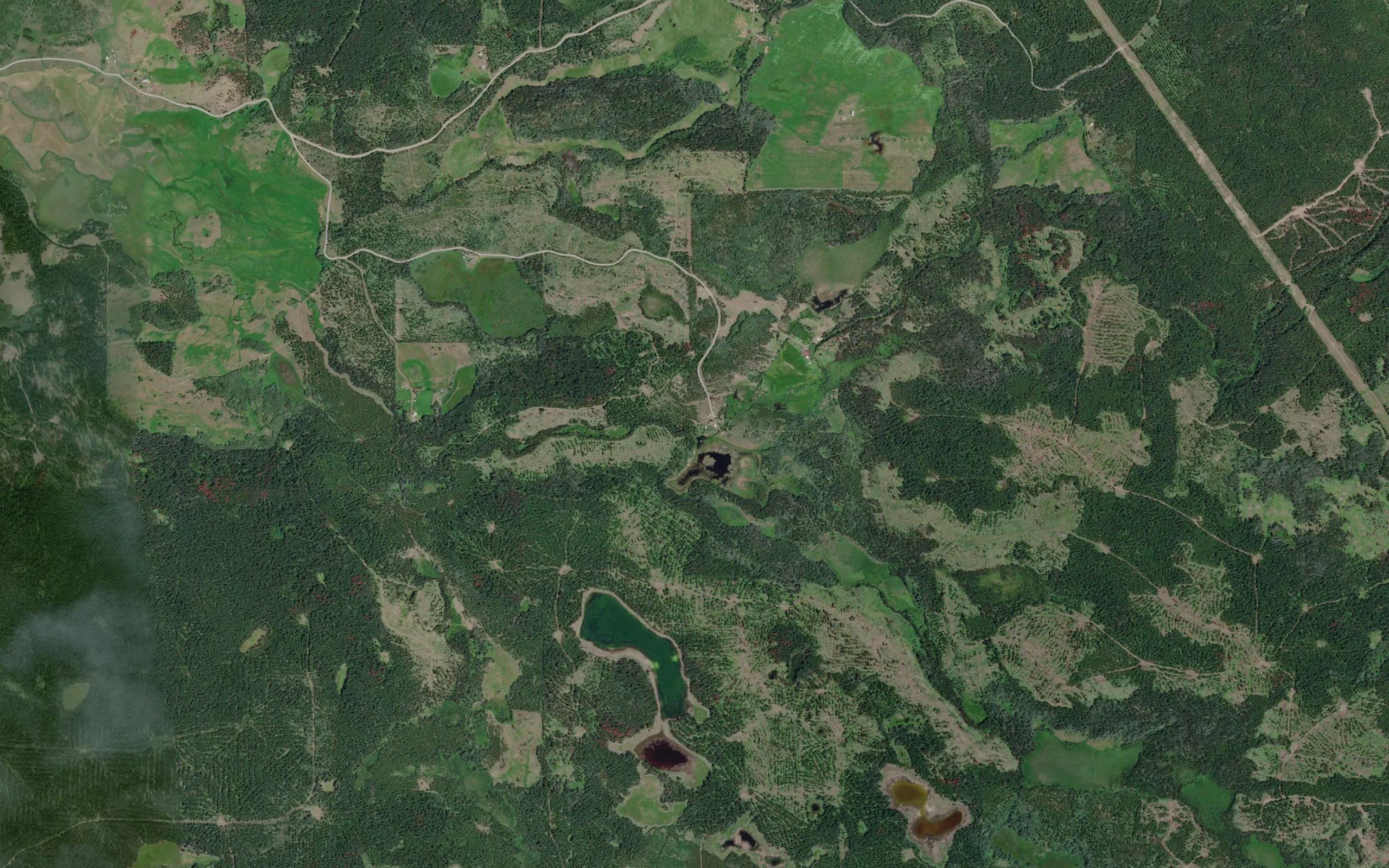 Dennis Creek