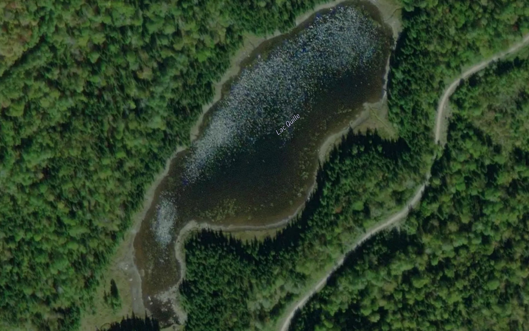 Satellite map of the Lac Quille