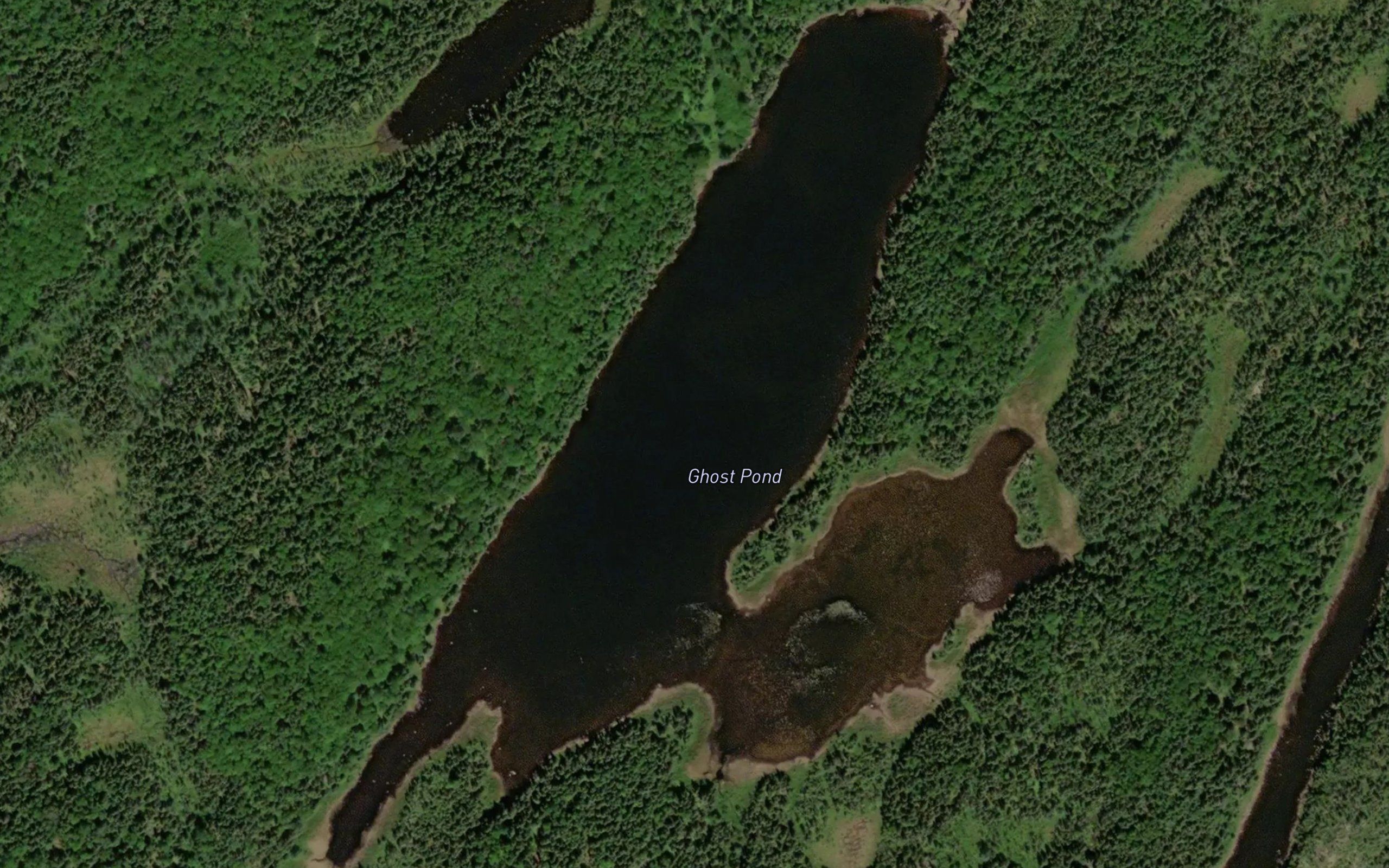 Ghost Pond