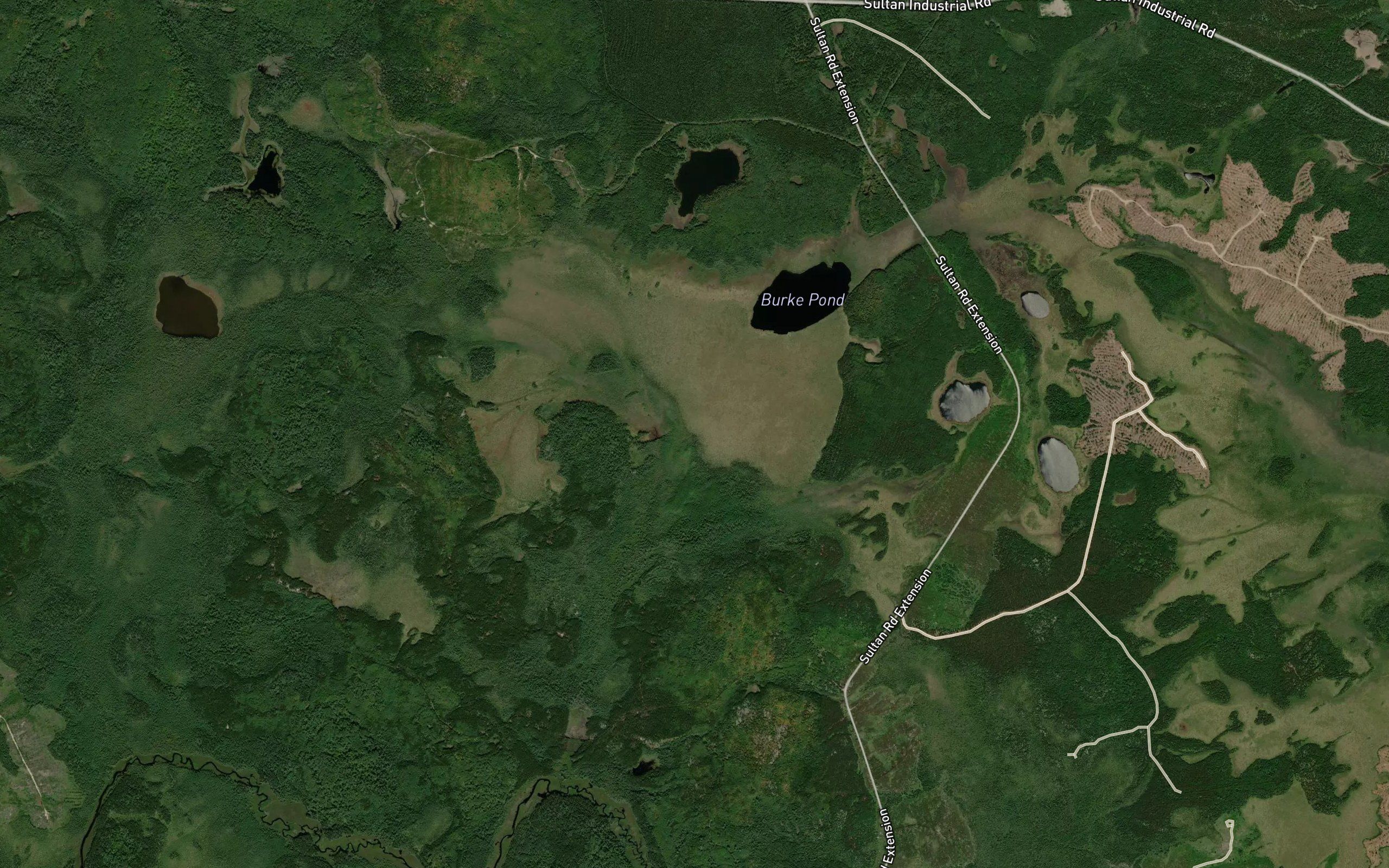 Burke Pond