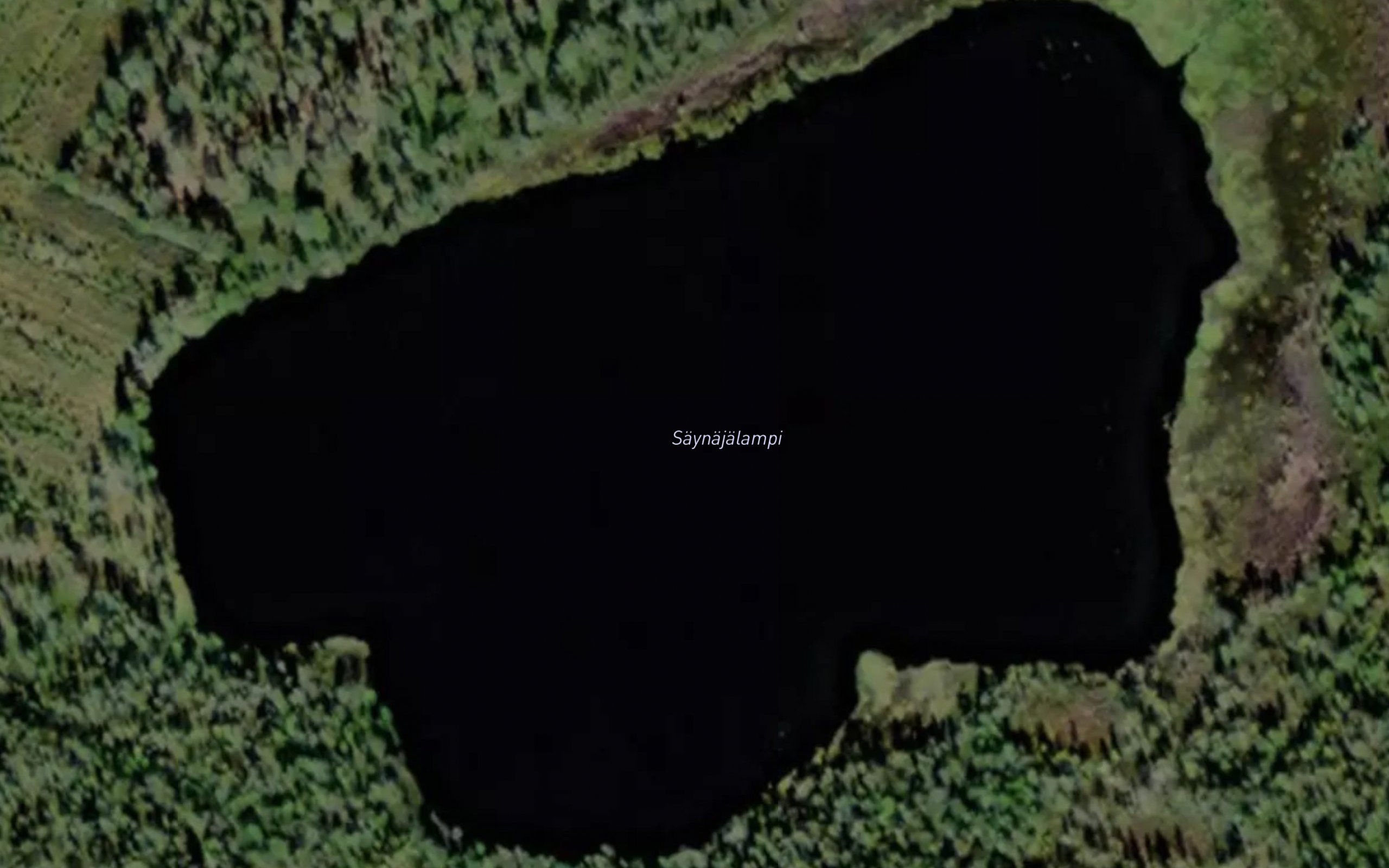 Saynajalampi