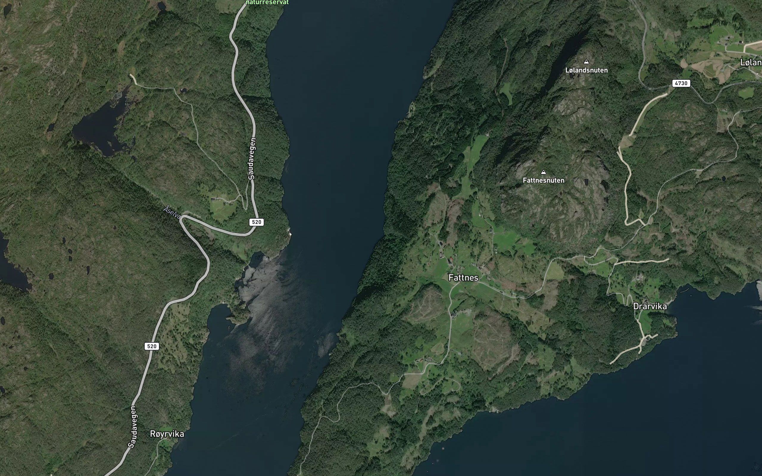 Bannstakvika