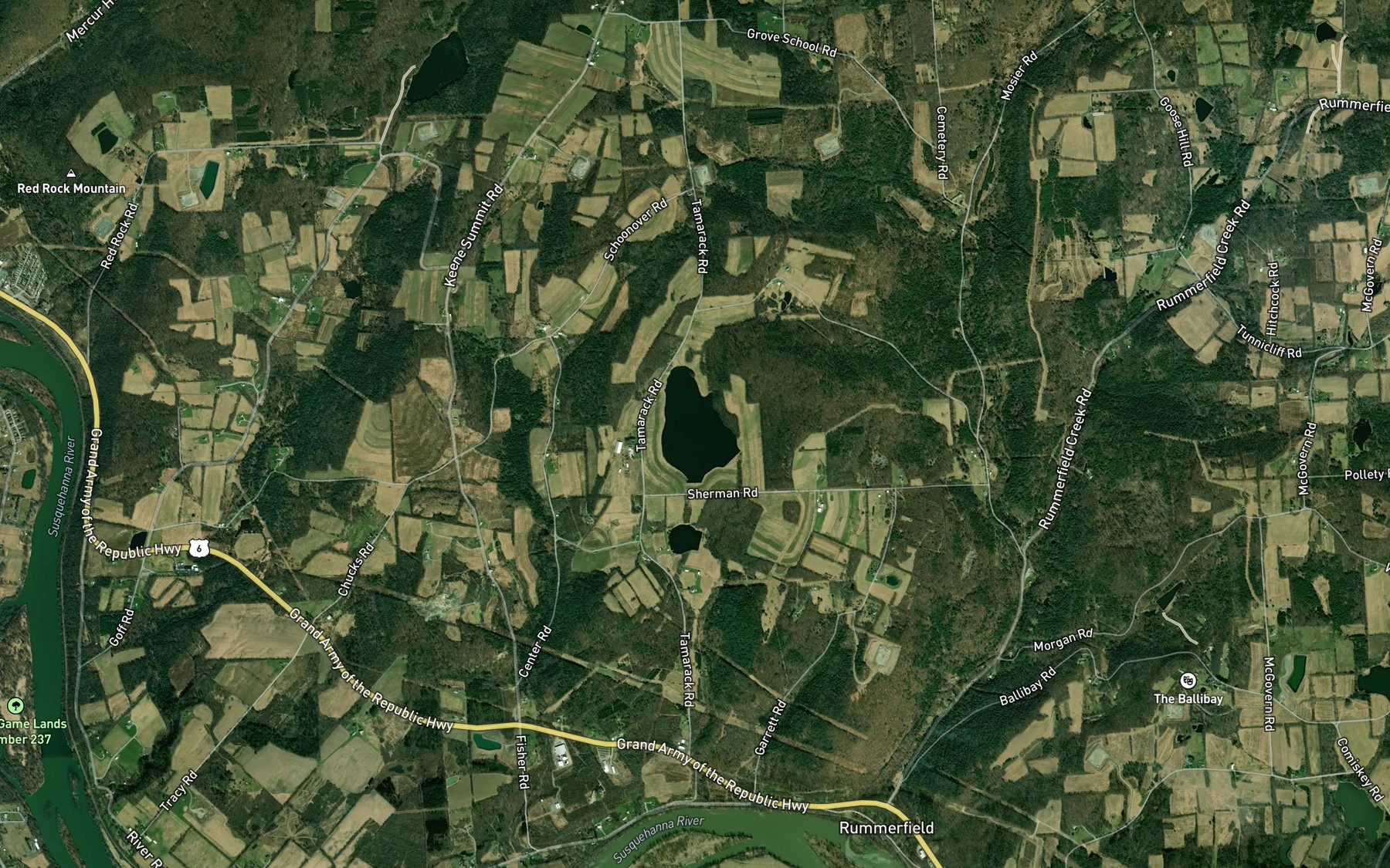 Satellite map of the Tamarack Pond