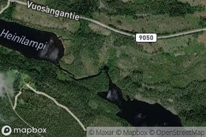 Heinijoki