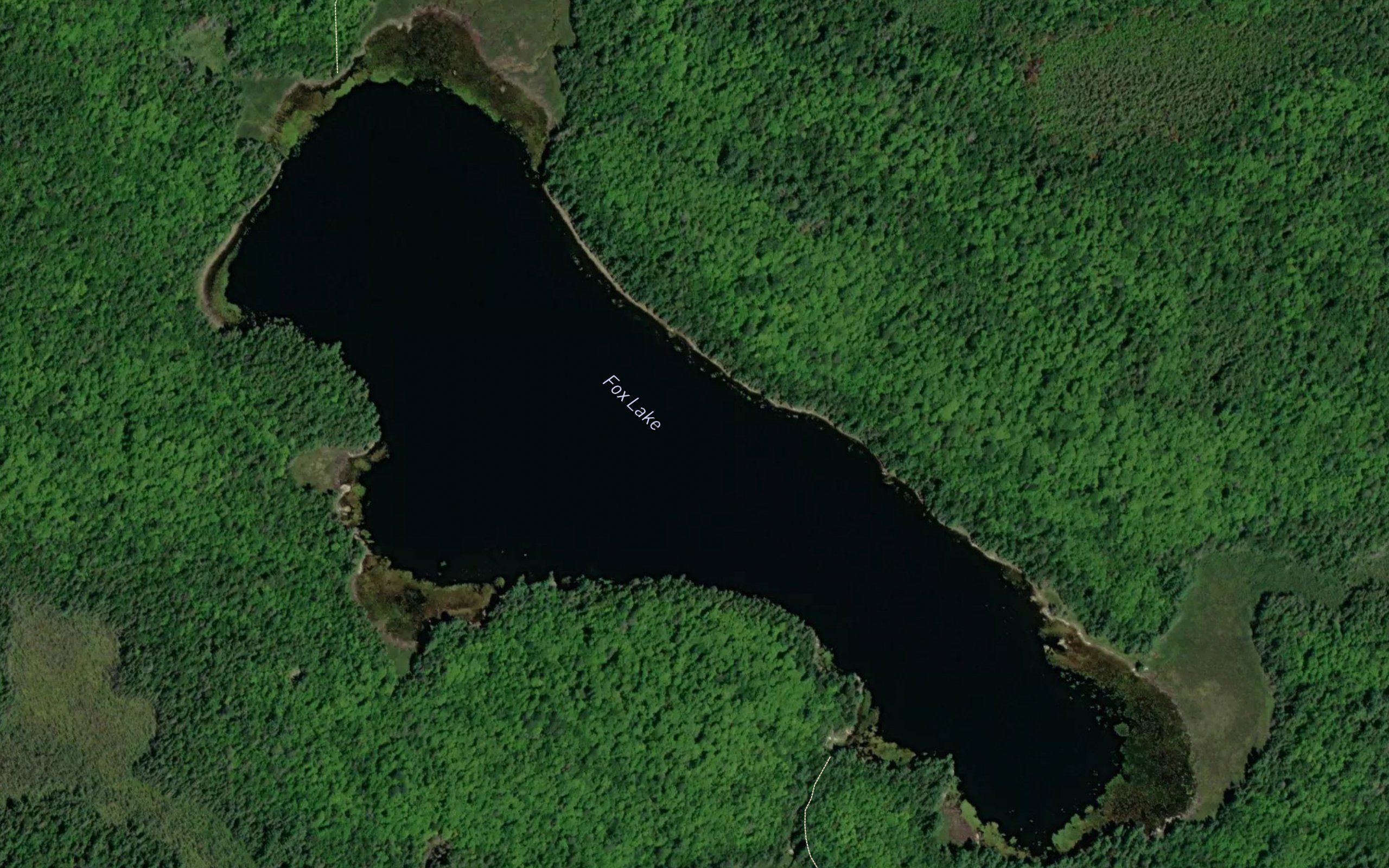 Fox Lake