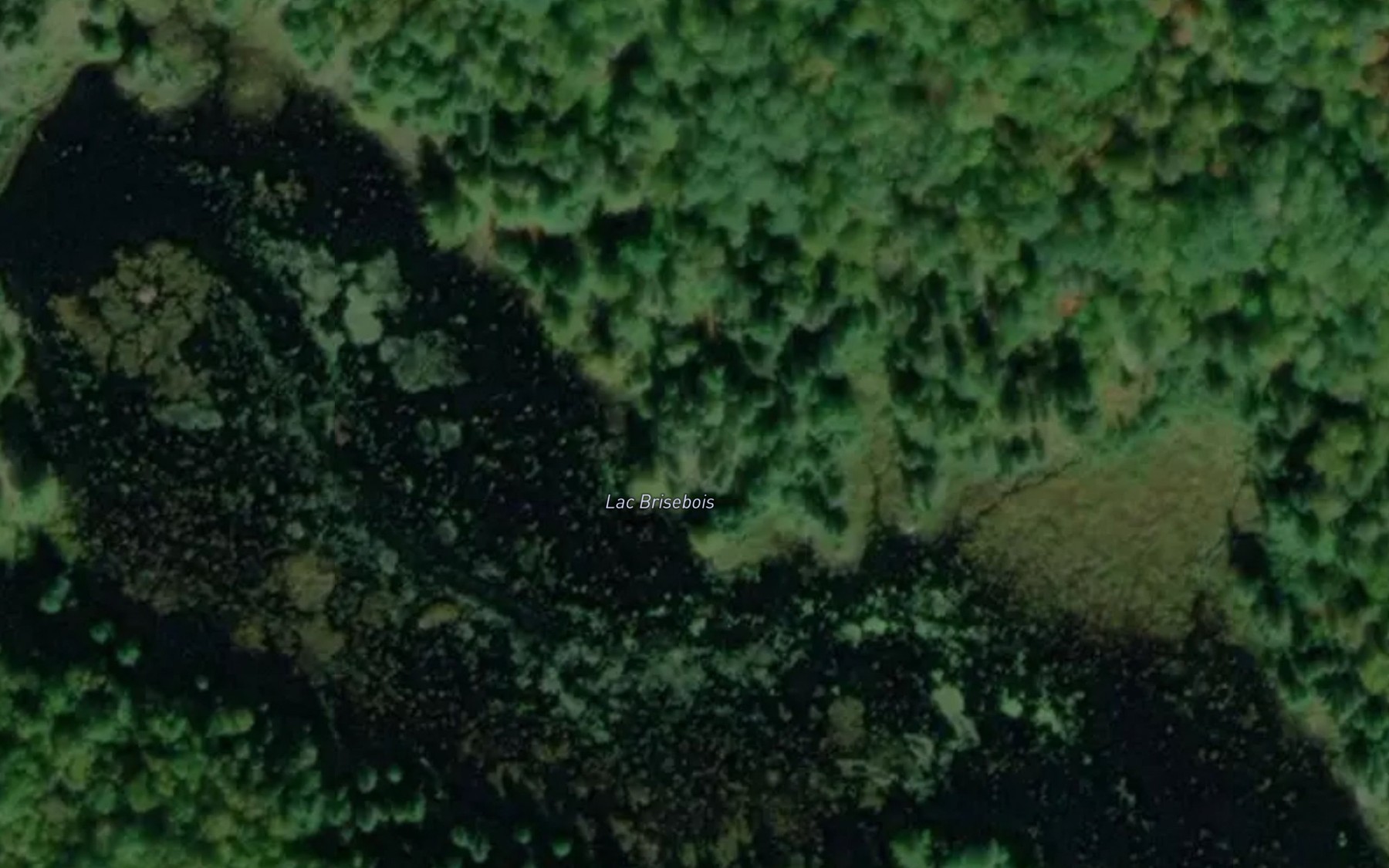 Satellite map of the Lac Brisebois
