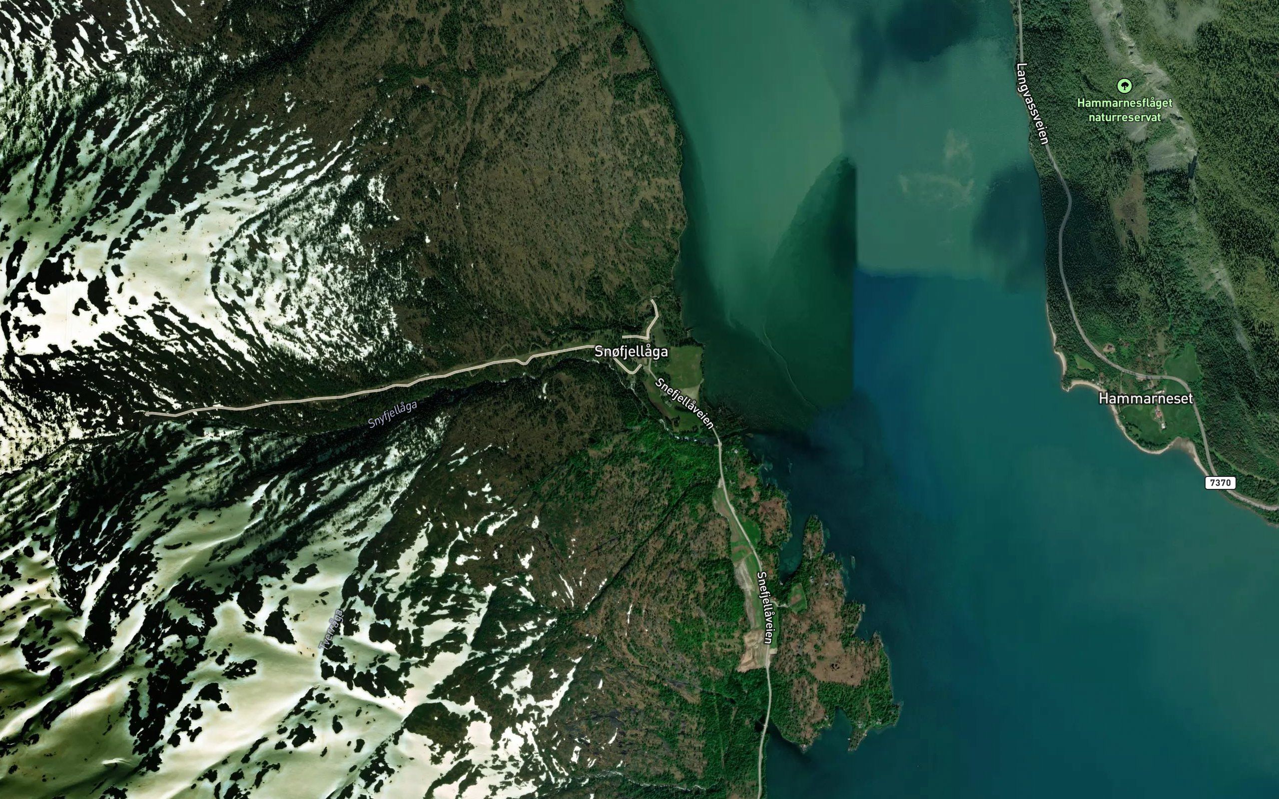 Snyfjellaga