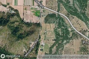Watts and Topping Ditch