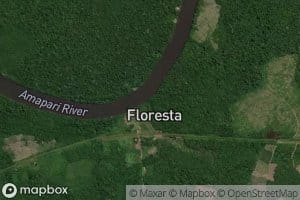 Igarape Pau-Queimado