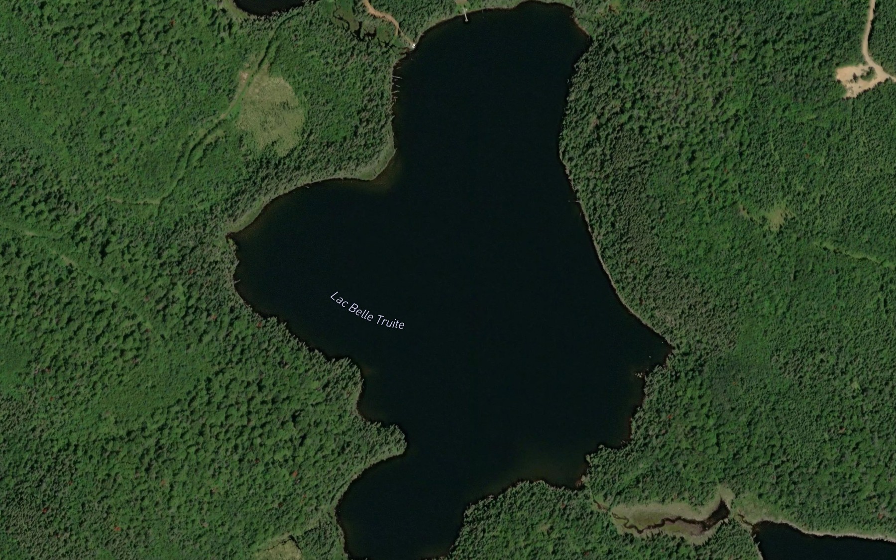 Satellite map of the Lac Belle Truite