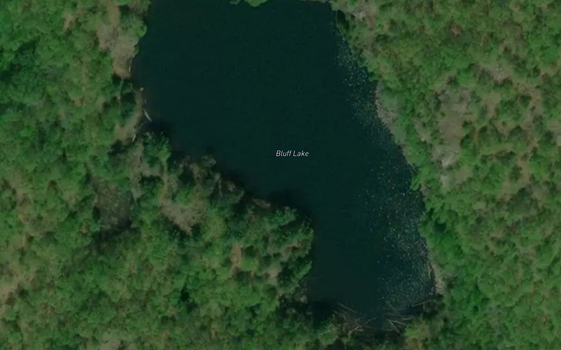 Satellite map of the Bluff Lake
