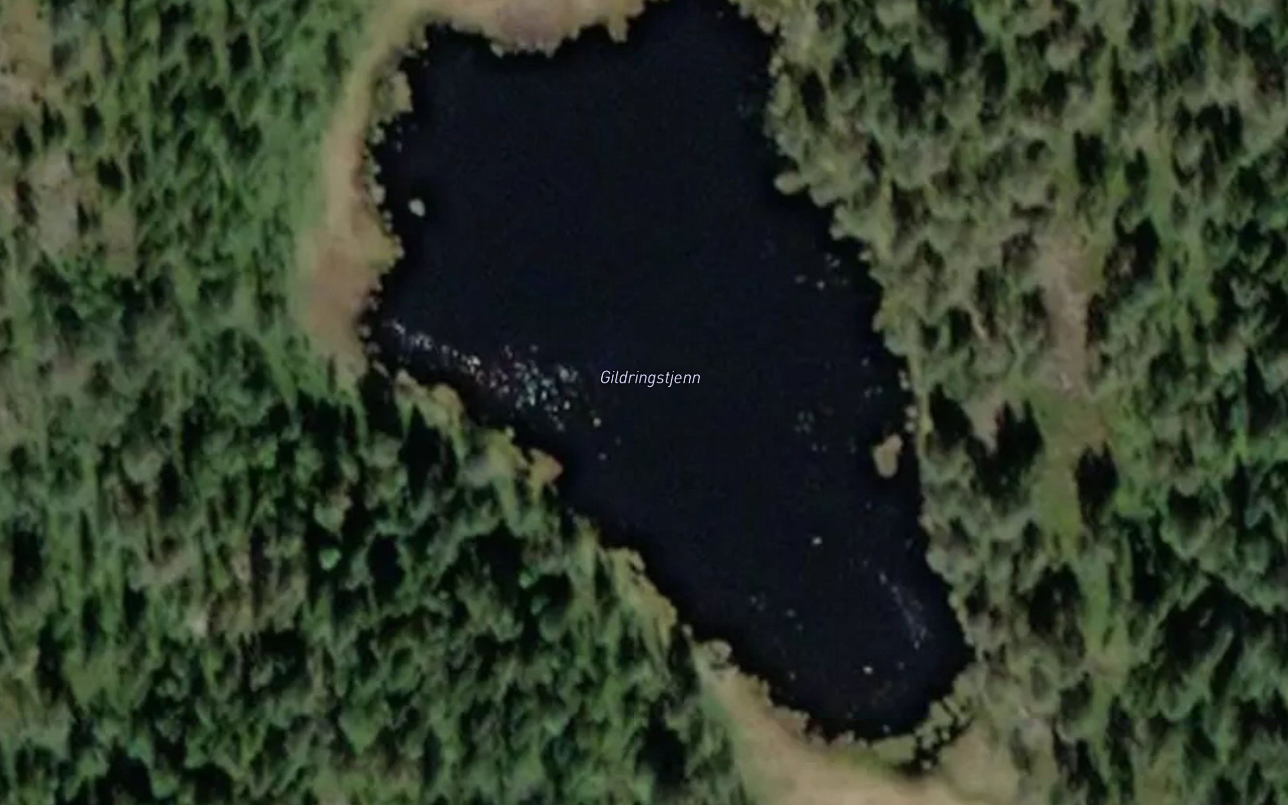 Gildringstjern