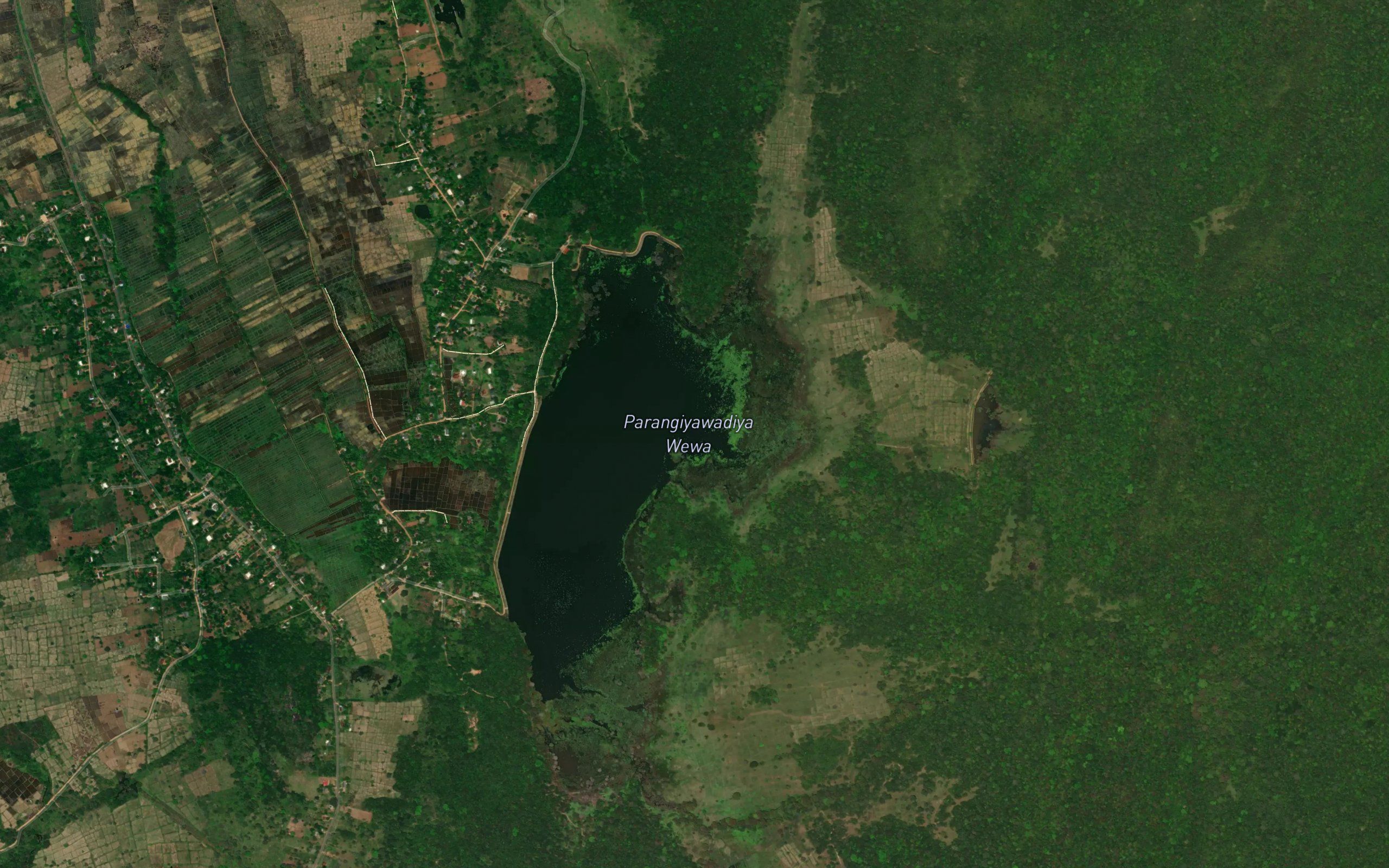 Karuwalagaha Wewa