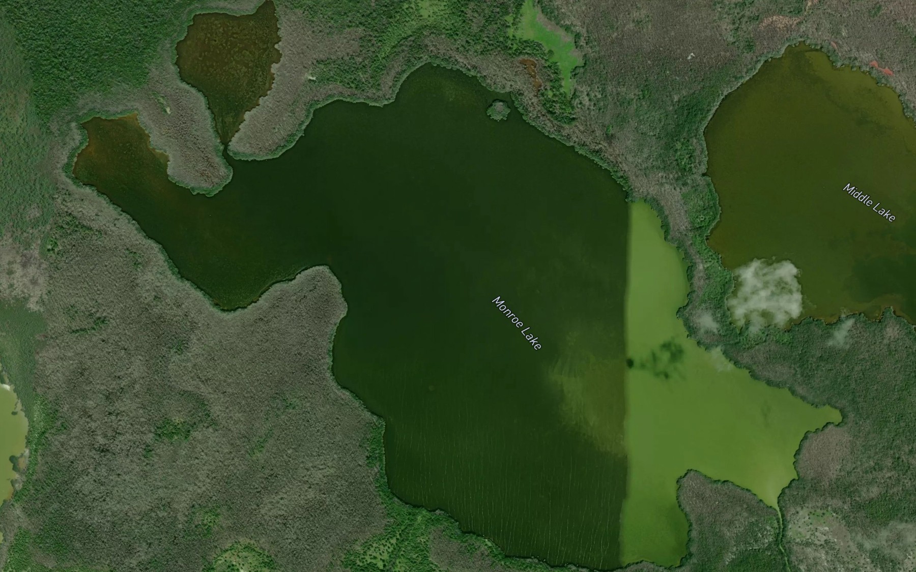 Satellite map of the Monroe Lake
