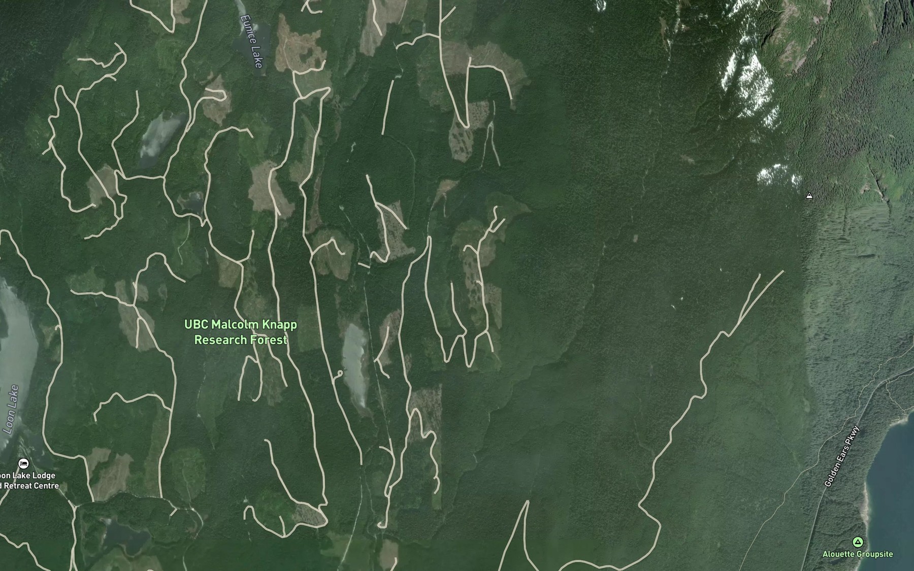 Satellite map of the Peaceful Lake