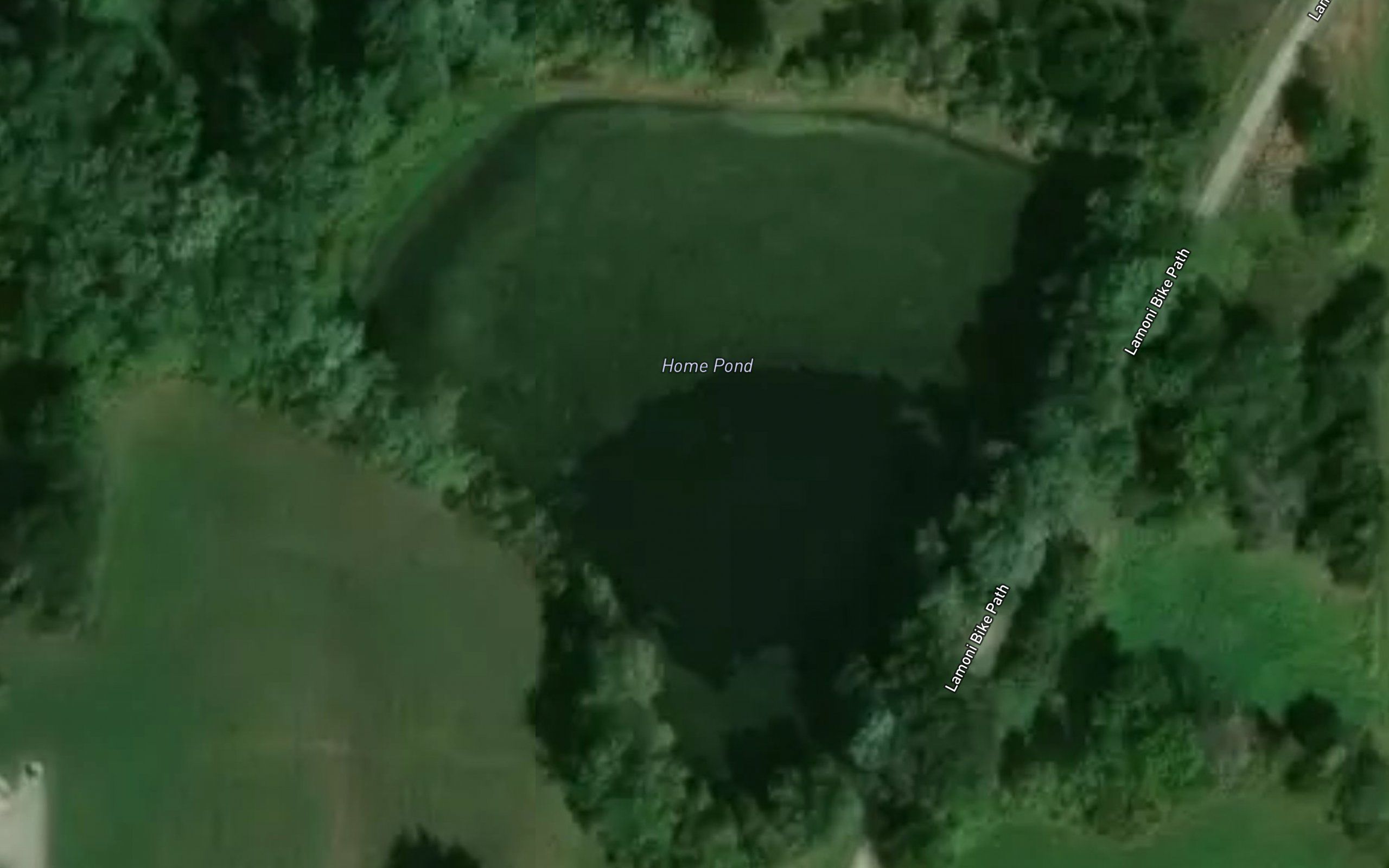 Home Pond
