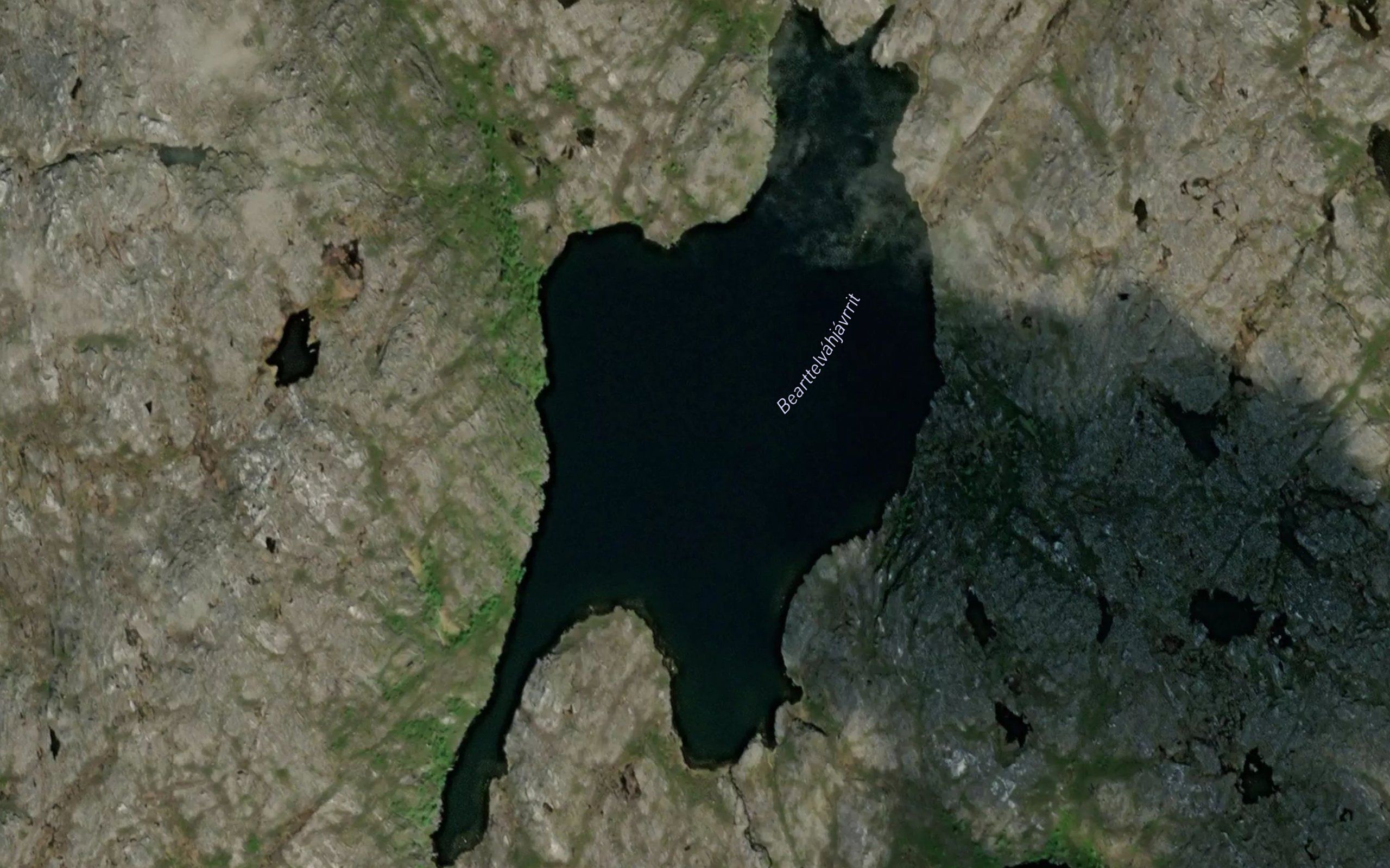 Baertevagjavrit