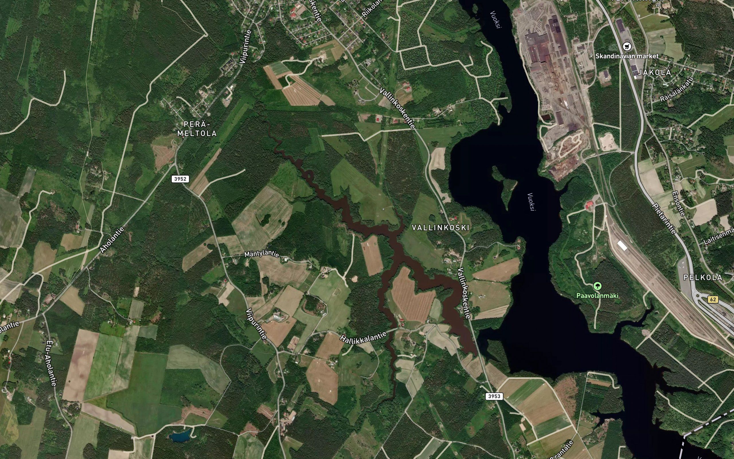 Jokienhaara