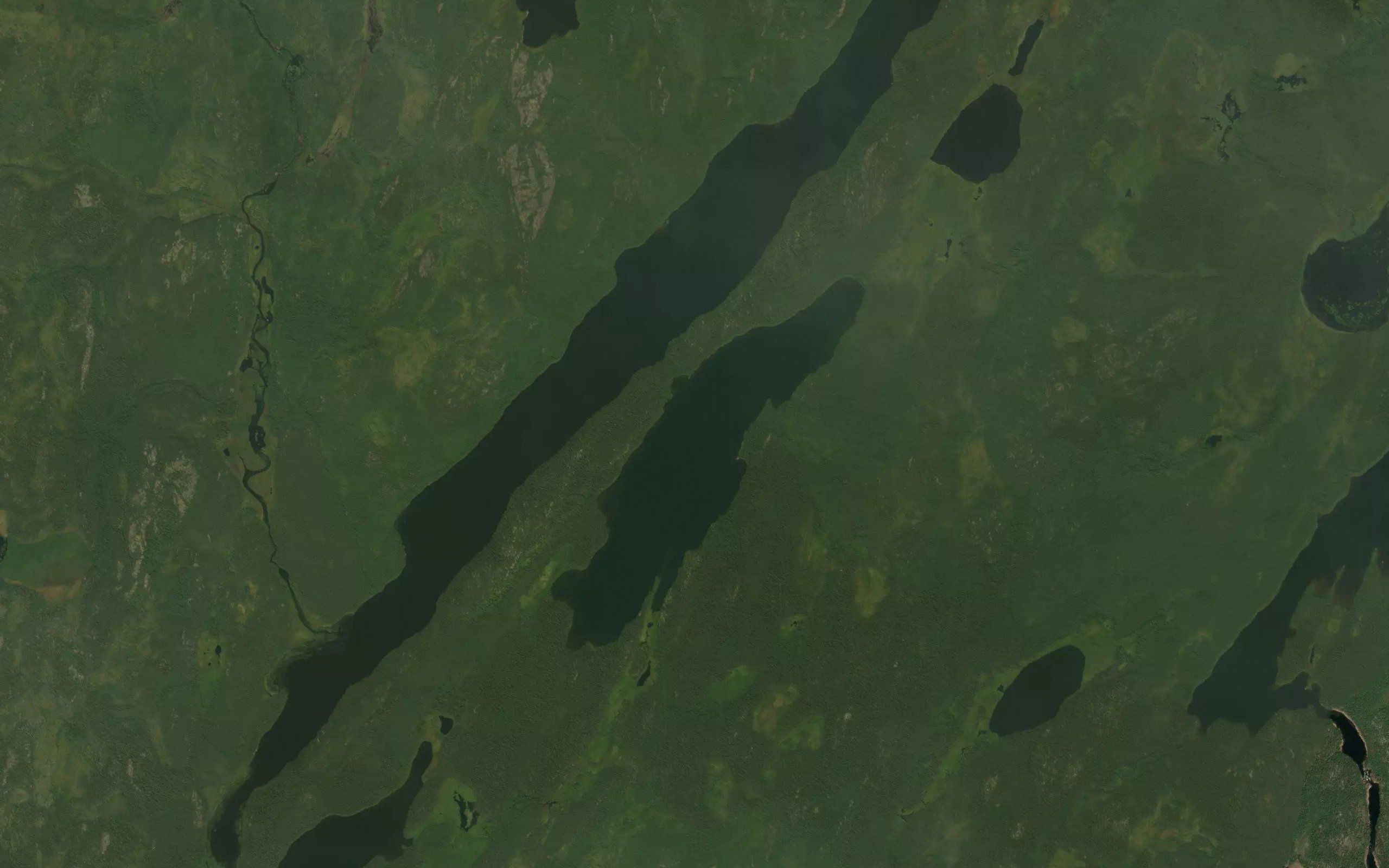 Ellis Lake