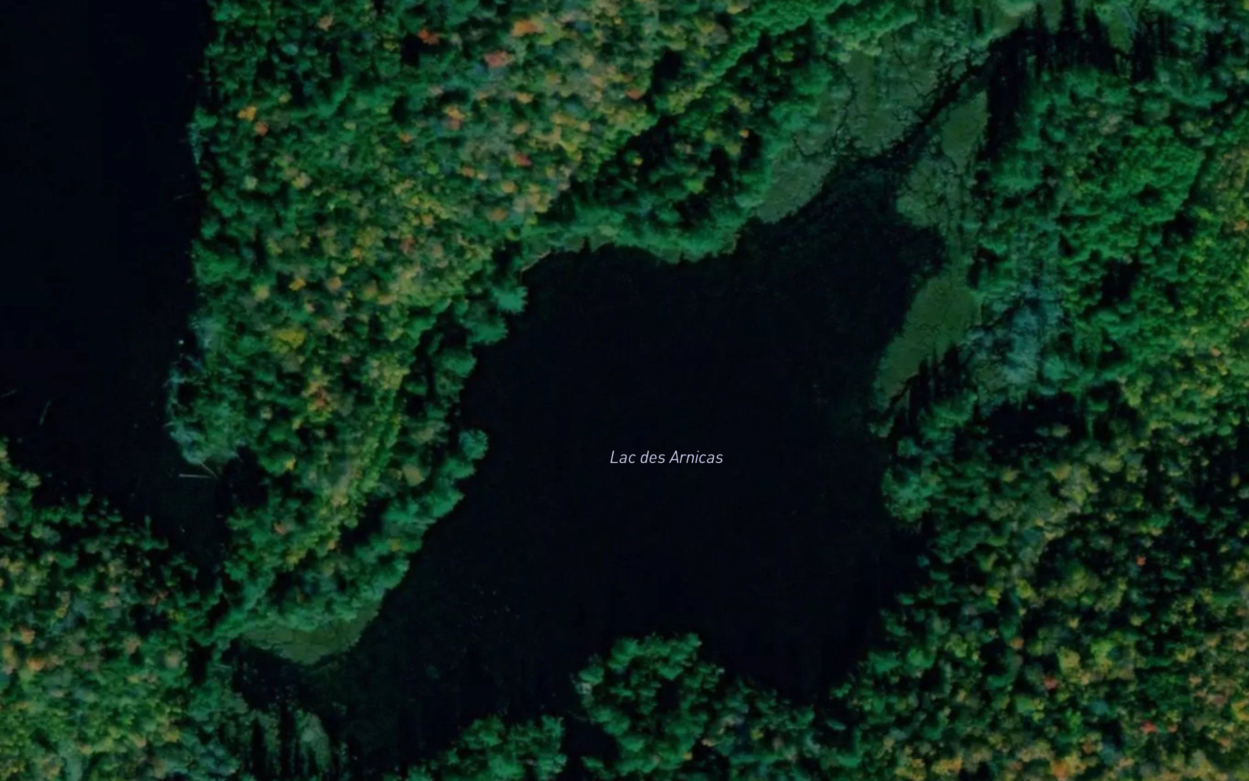 Lac des Arnicas