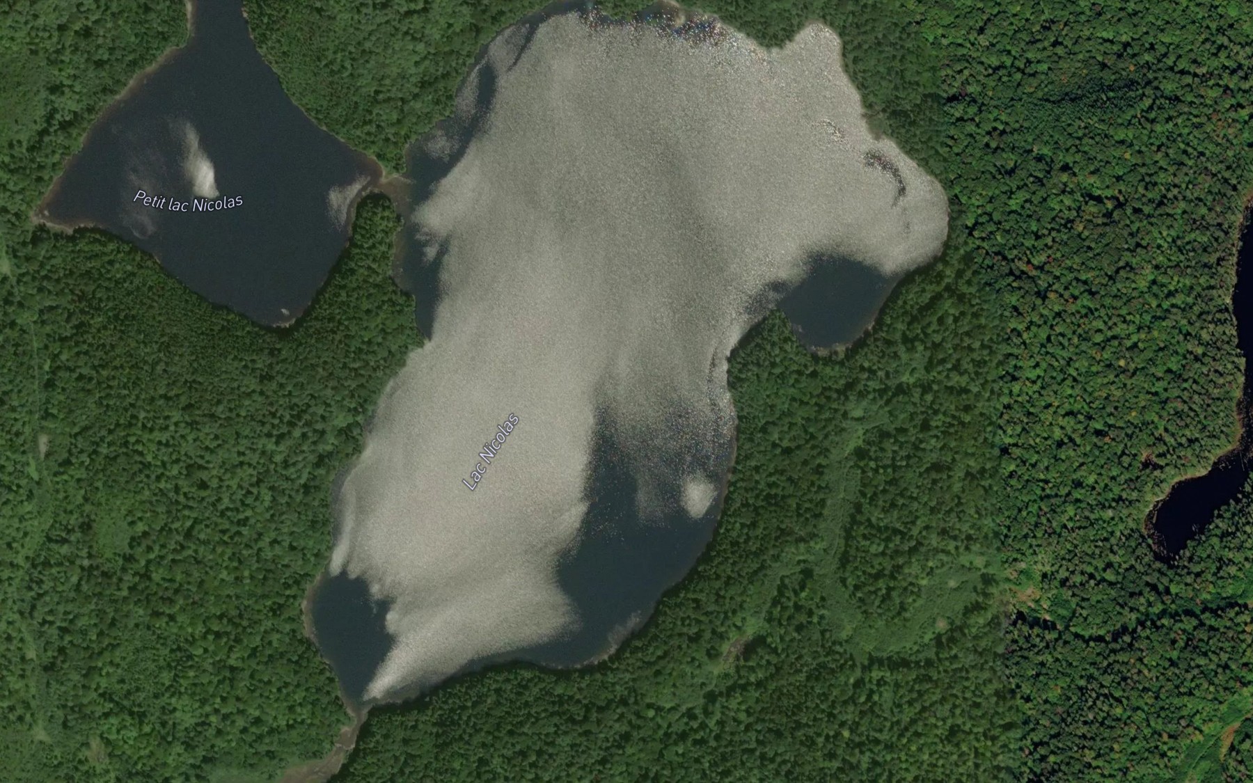Satellite map of the Lac Nicolas