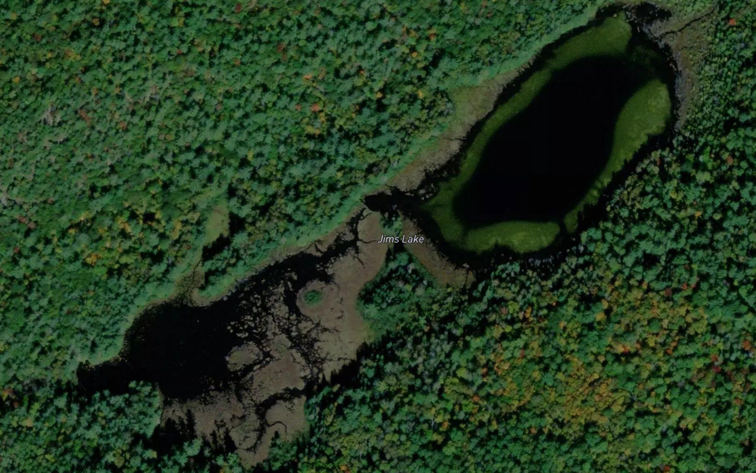 Jims Lake